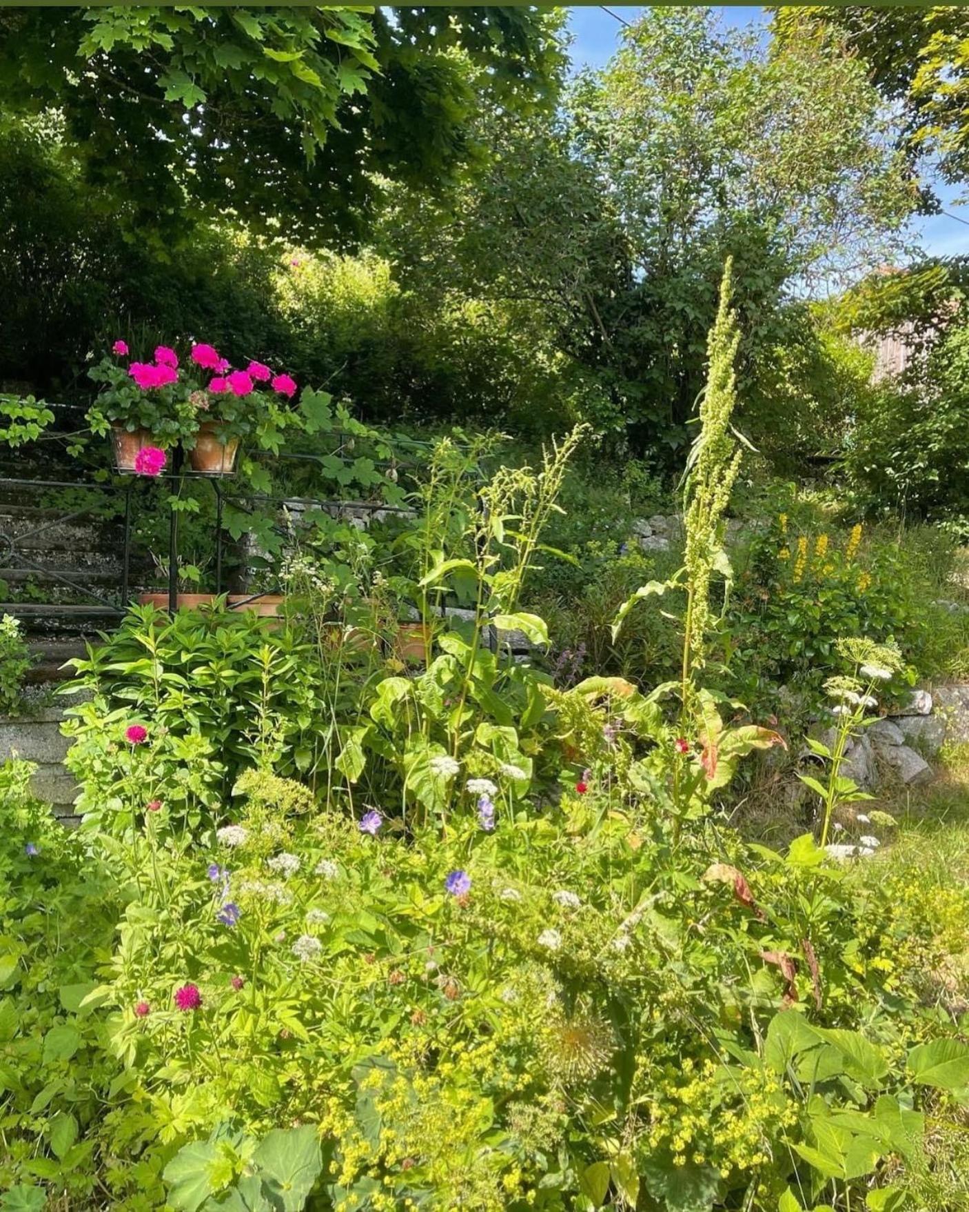 Le Manoir des Sens - Forêt de Bergheim