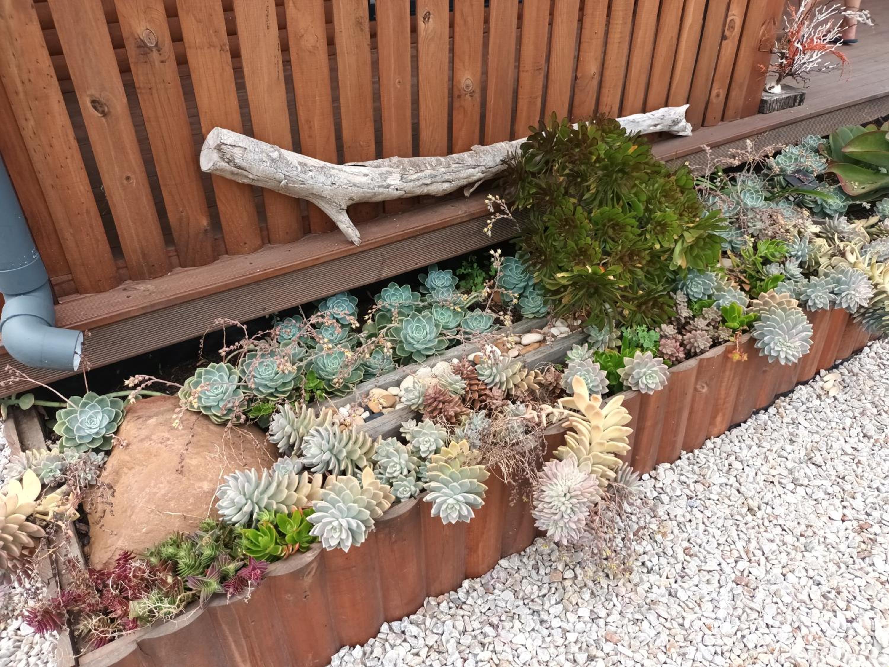 Chameleon Lodge