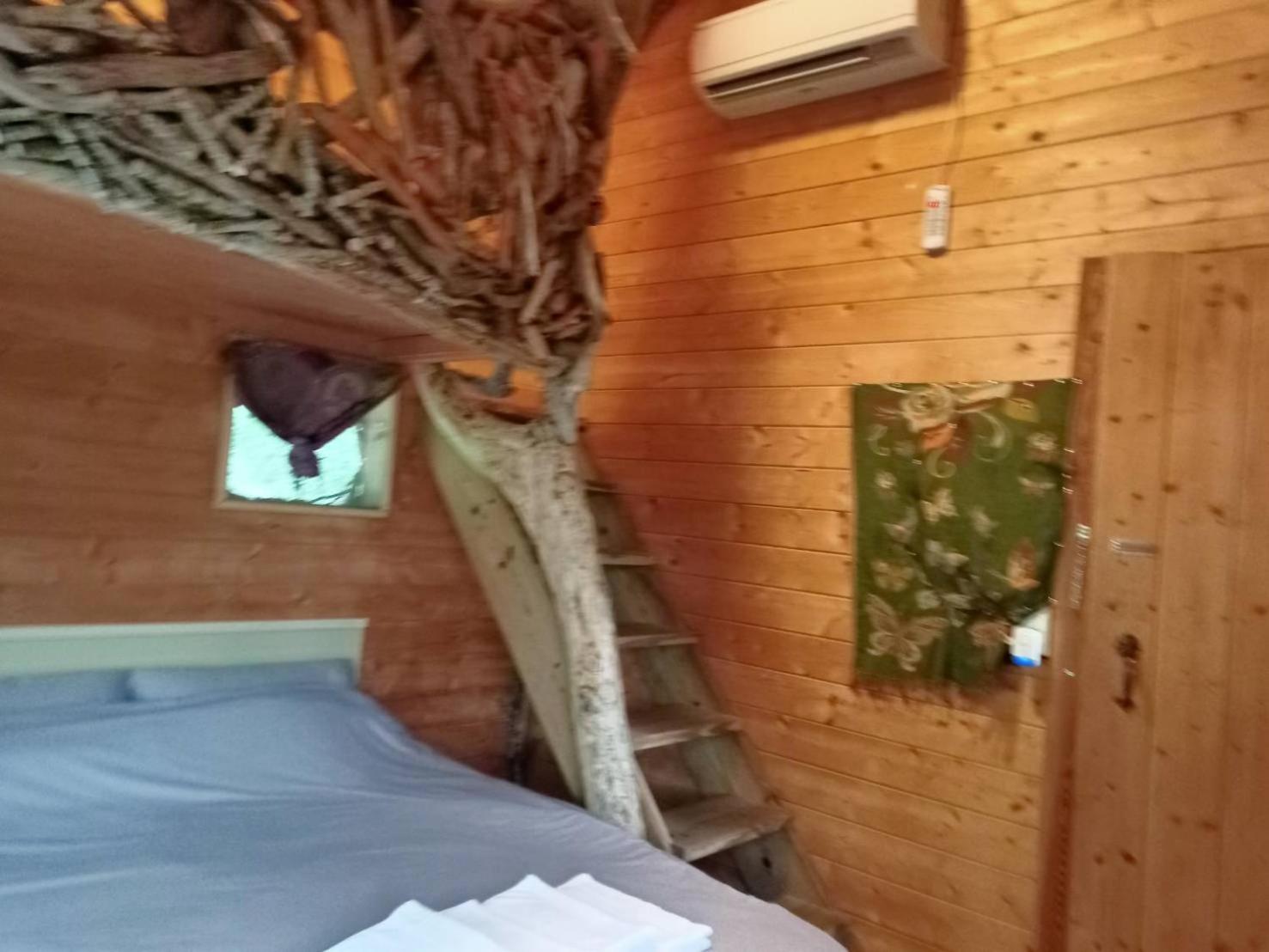Kamisatu Treehouse view 4