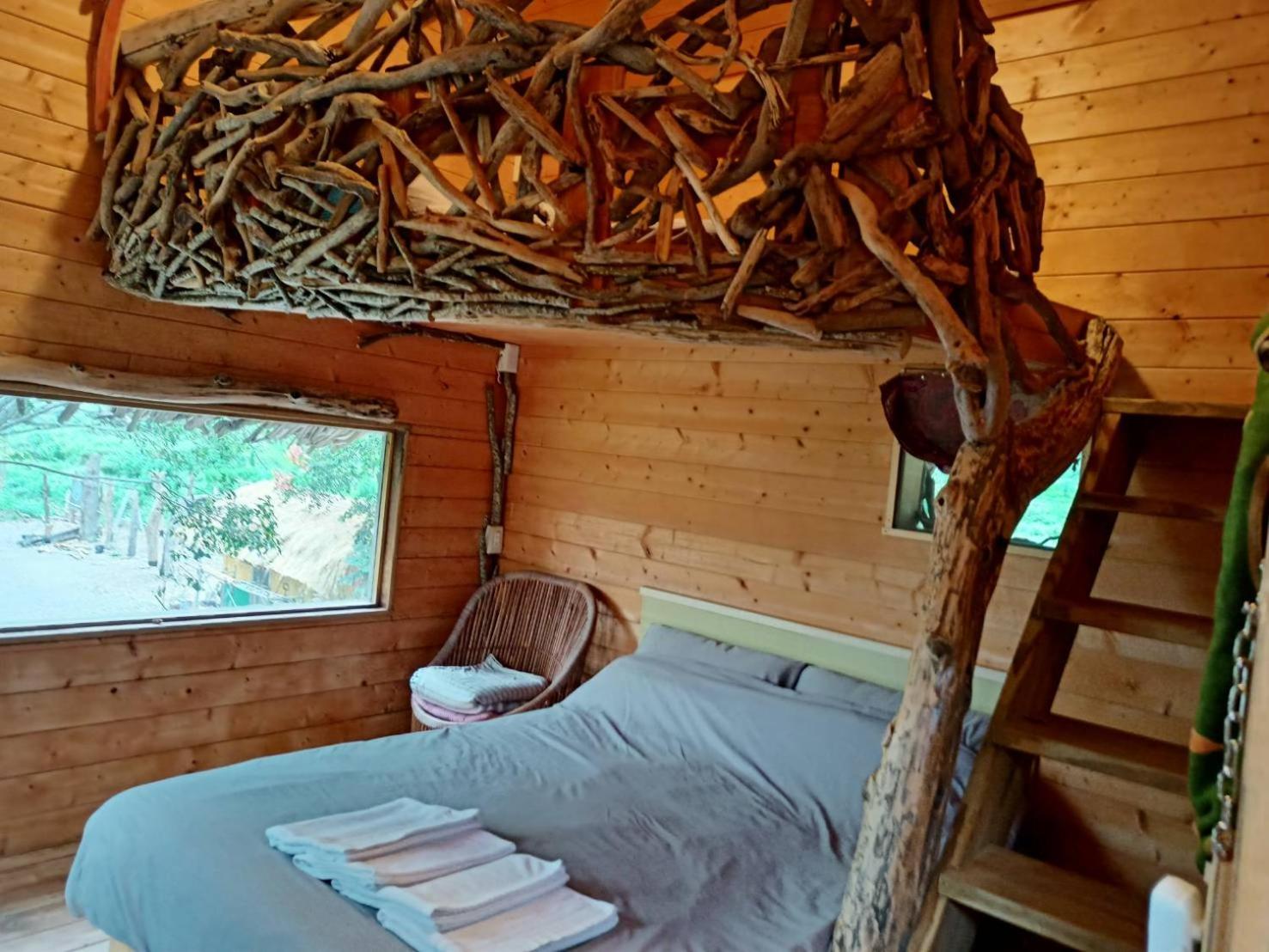 Kamisatu Treehouse view 3