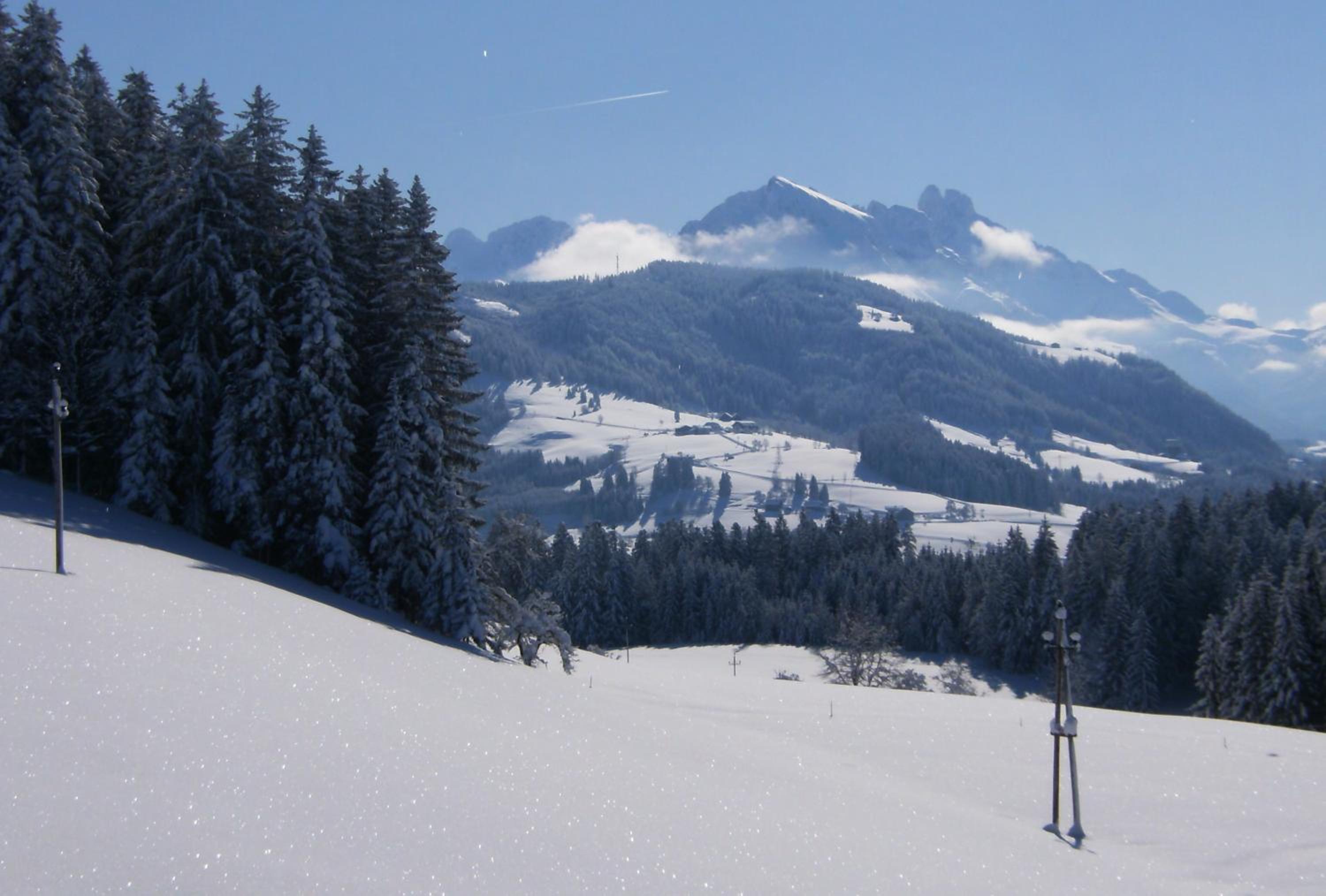 Biohof Haus Wieser