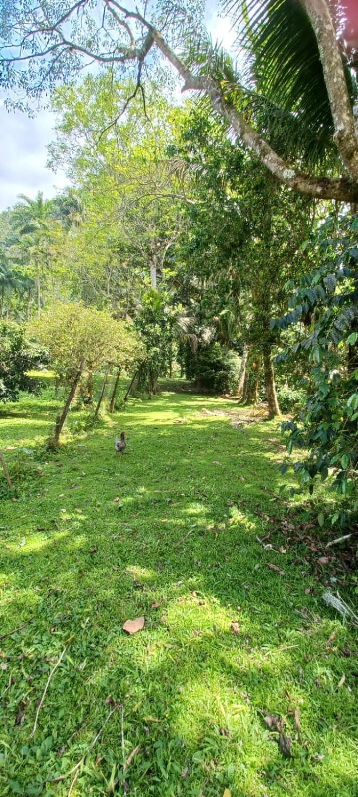 Chácara São Vicente em Pedro de Toledo-SP