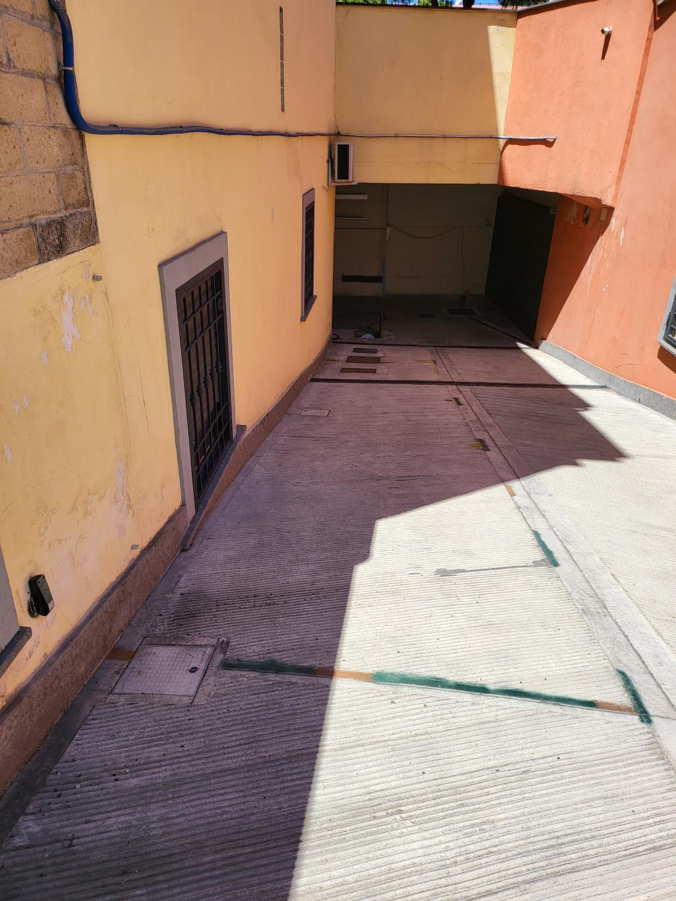 sole