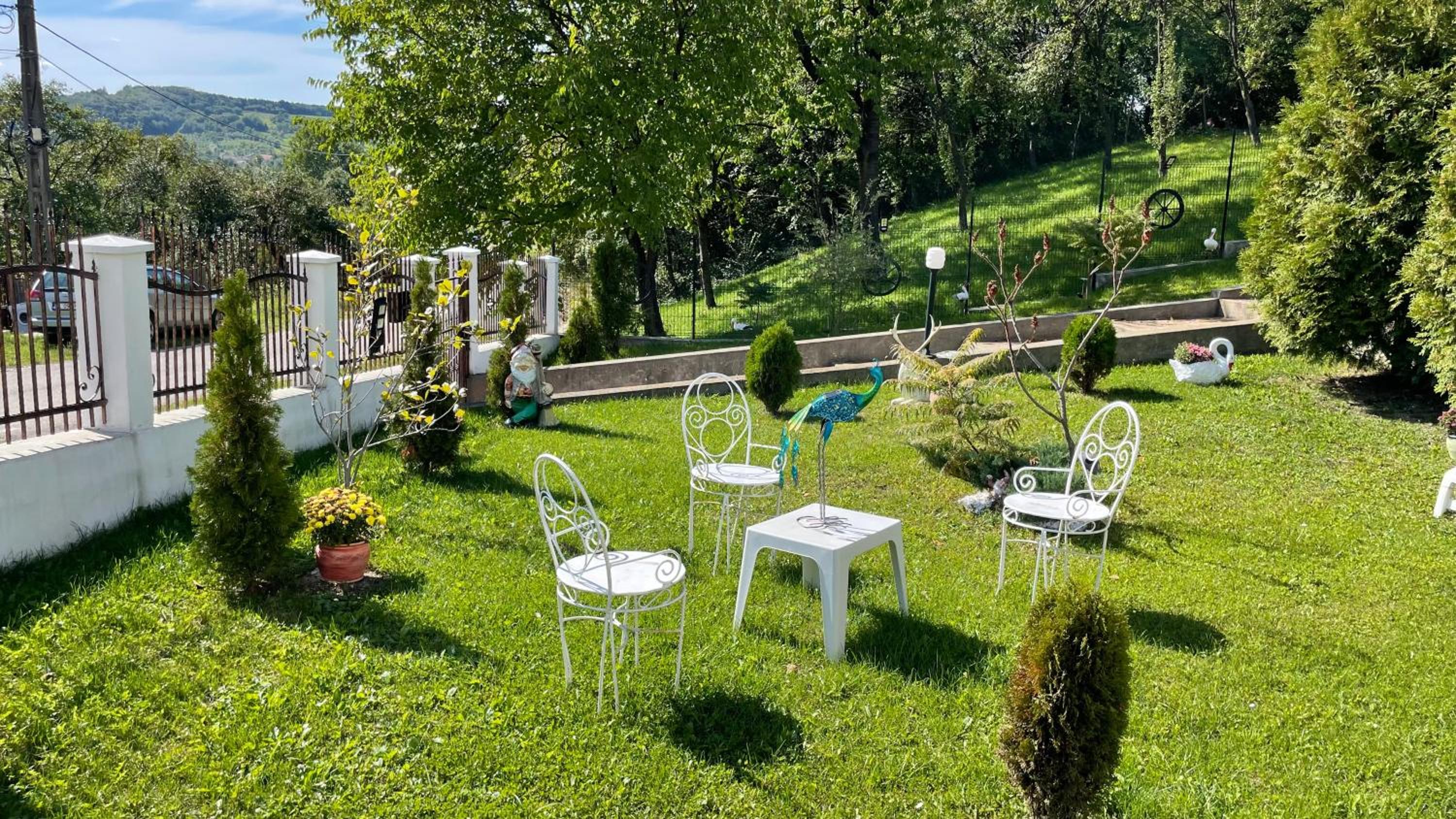 Casa Paunescu view 3