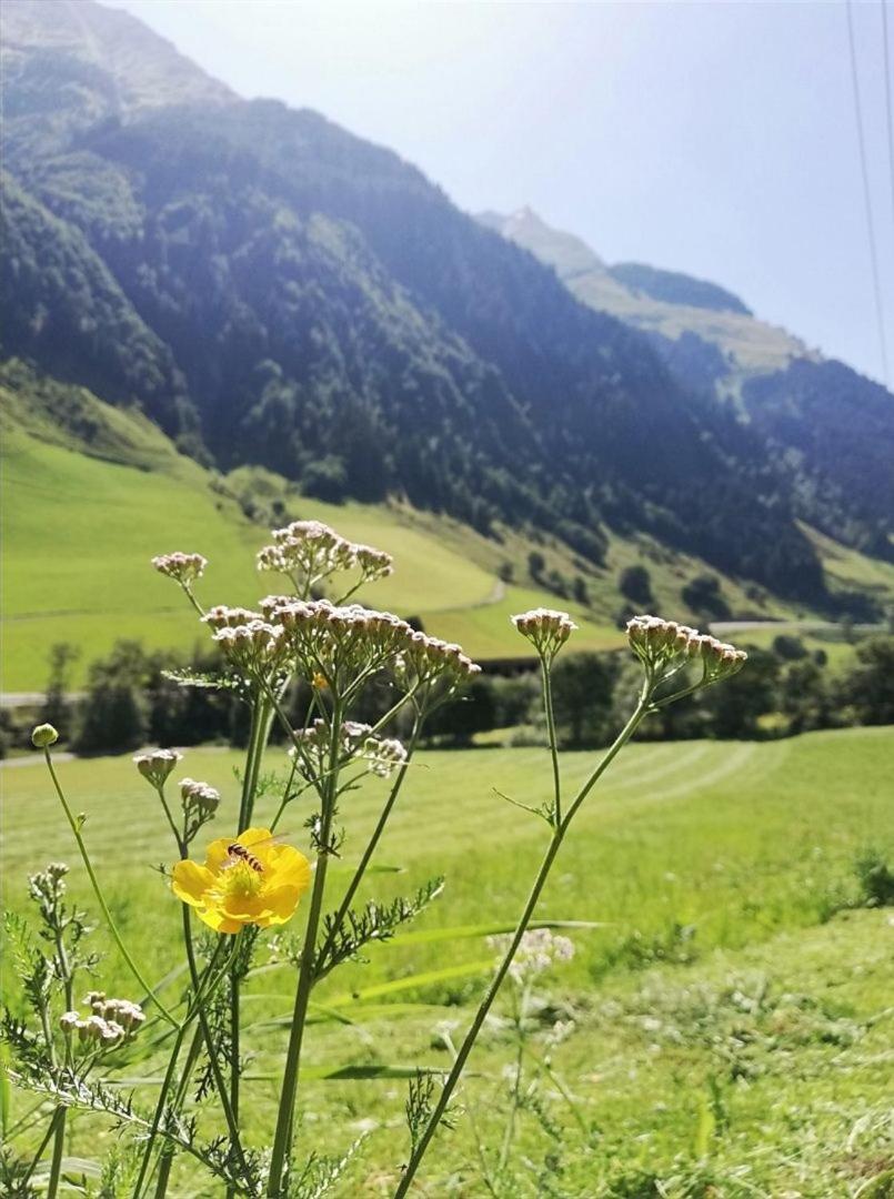 Schiederhof