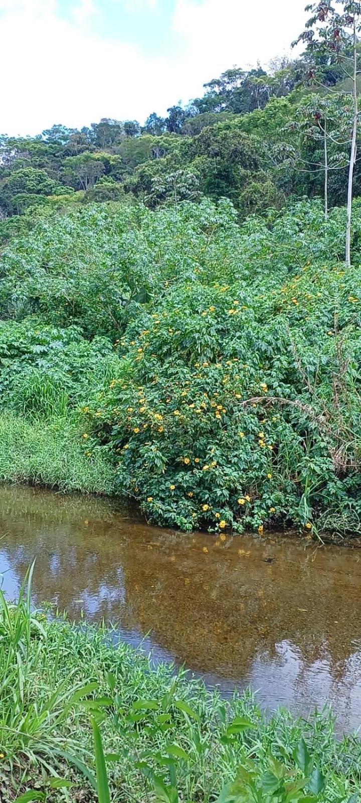 Chácara São Vicente em Pedro de Toledo-SP