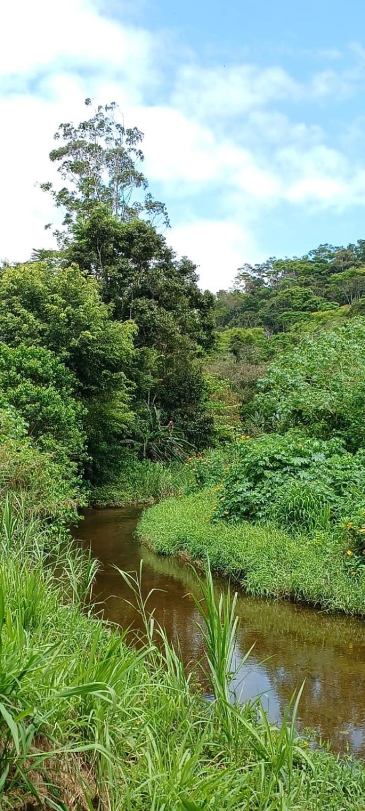 Chácara São Vicente em Pedro de Toledo-SP