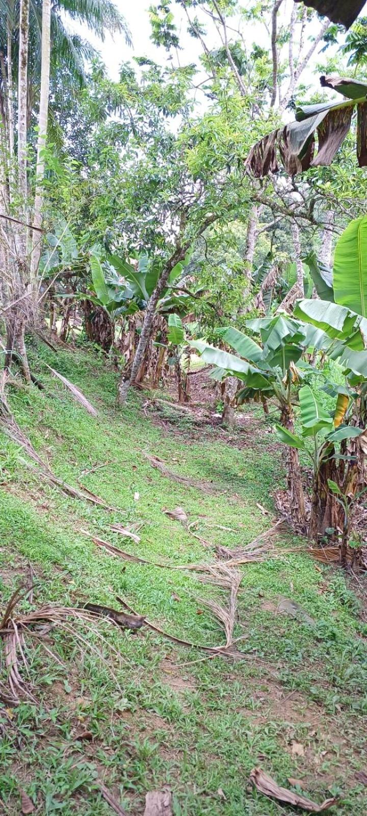 Chácara São Vicente em Pedro de Toledo-SP