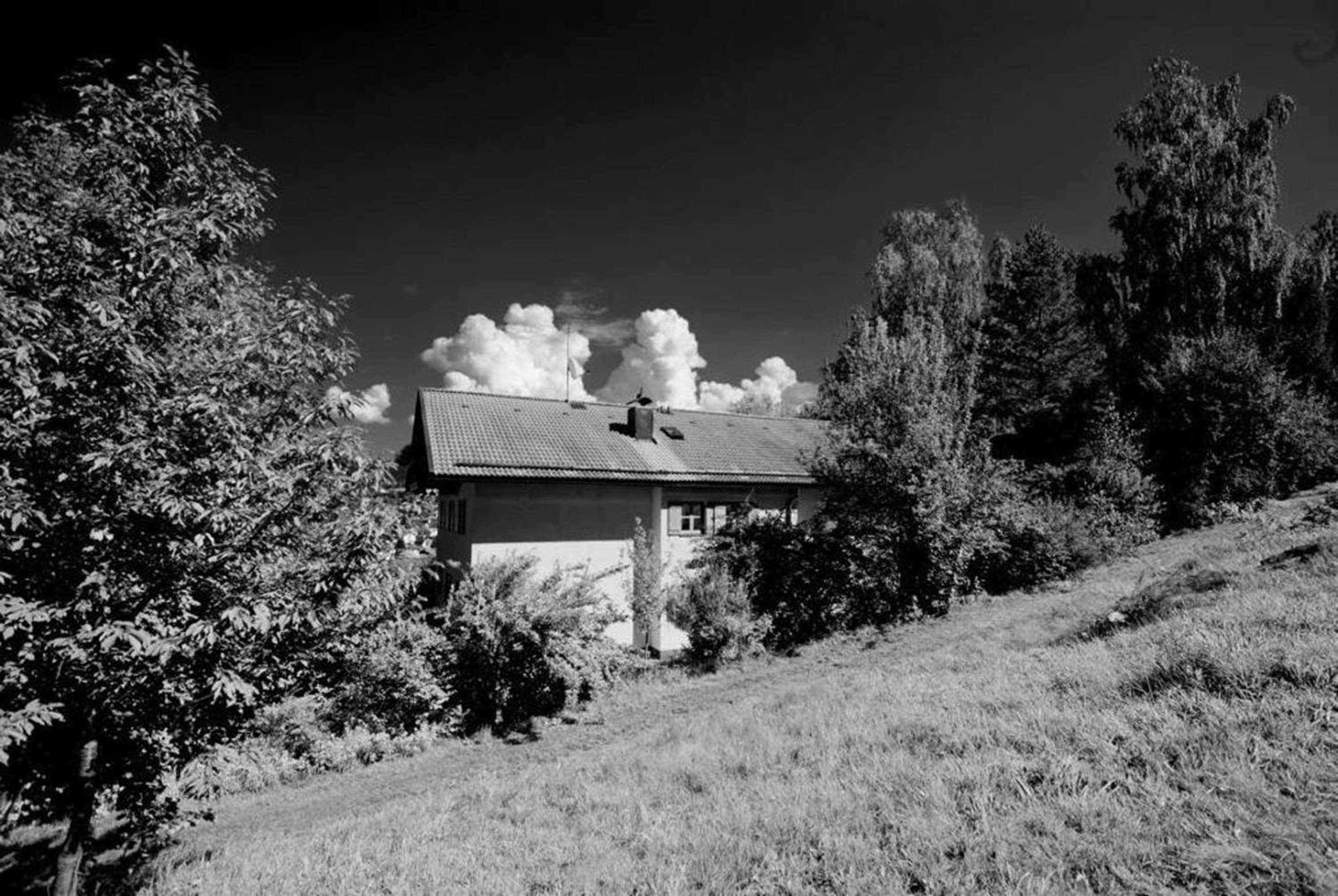Ferienwohnungen Haus "Wildschütz" view 5