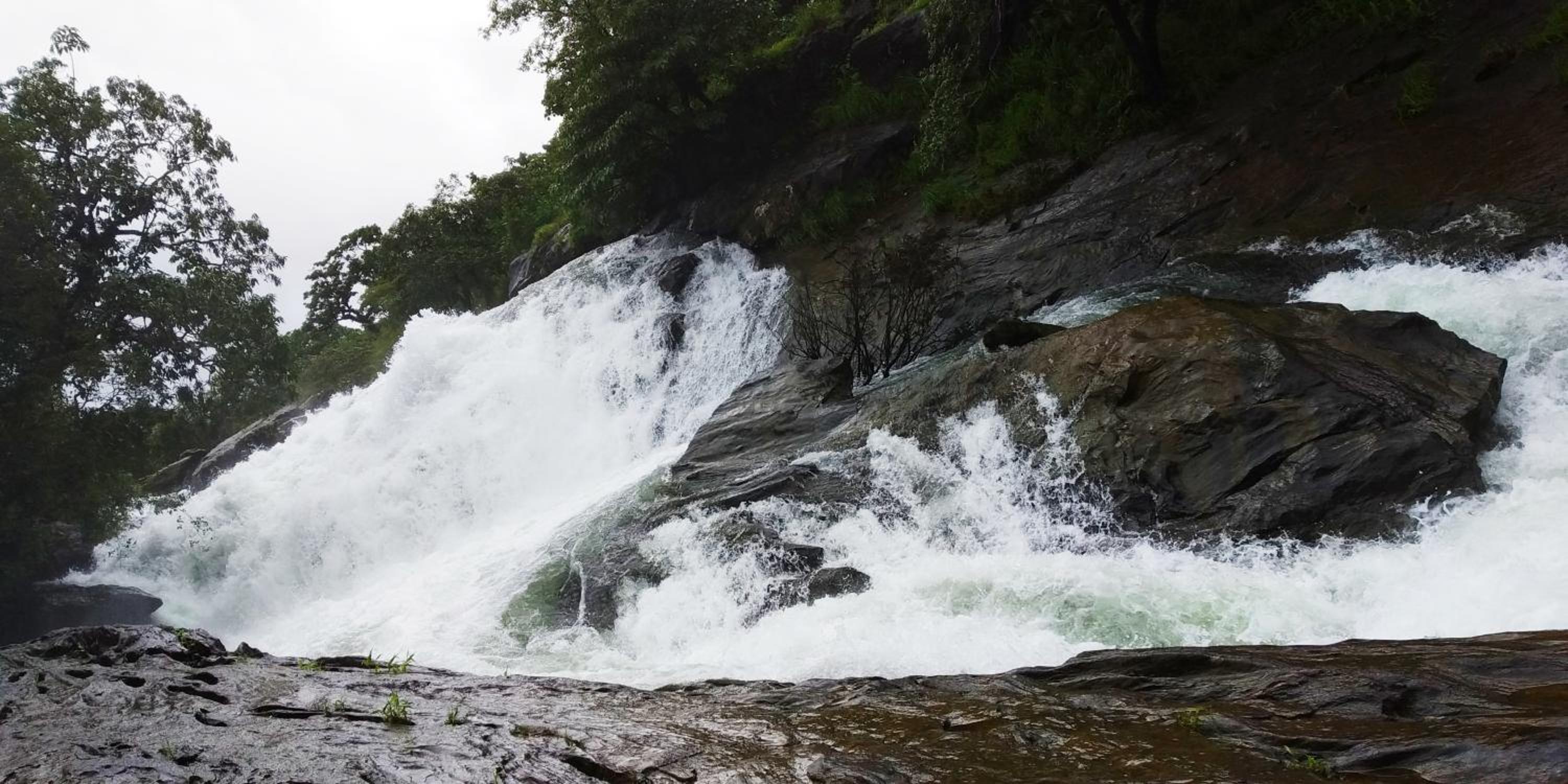 Sirimane Homestay - Water Activities, Home Food, Trek & falls