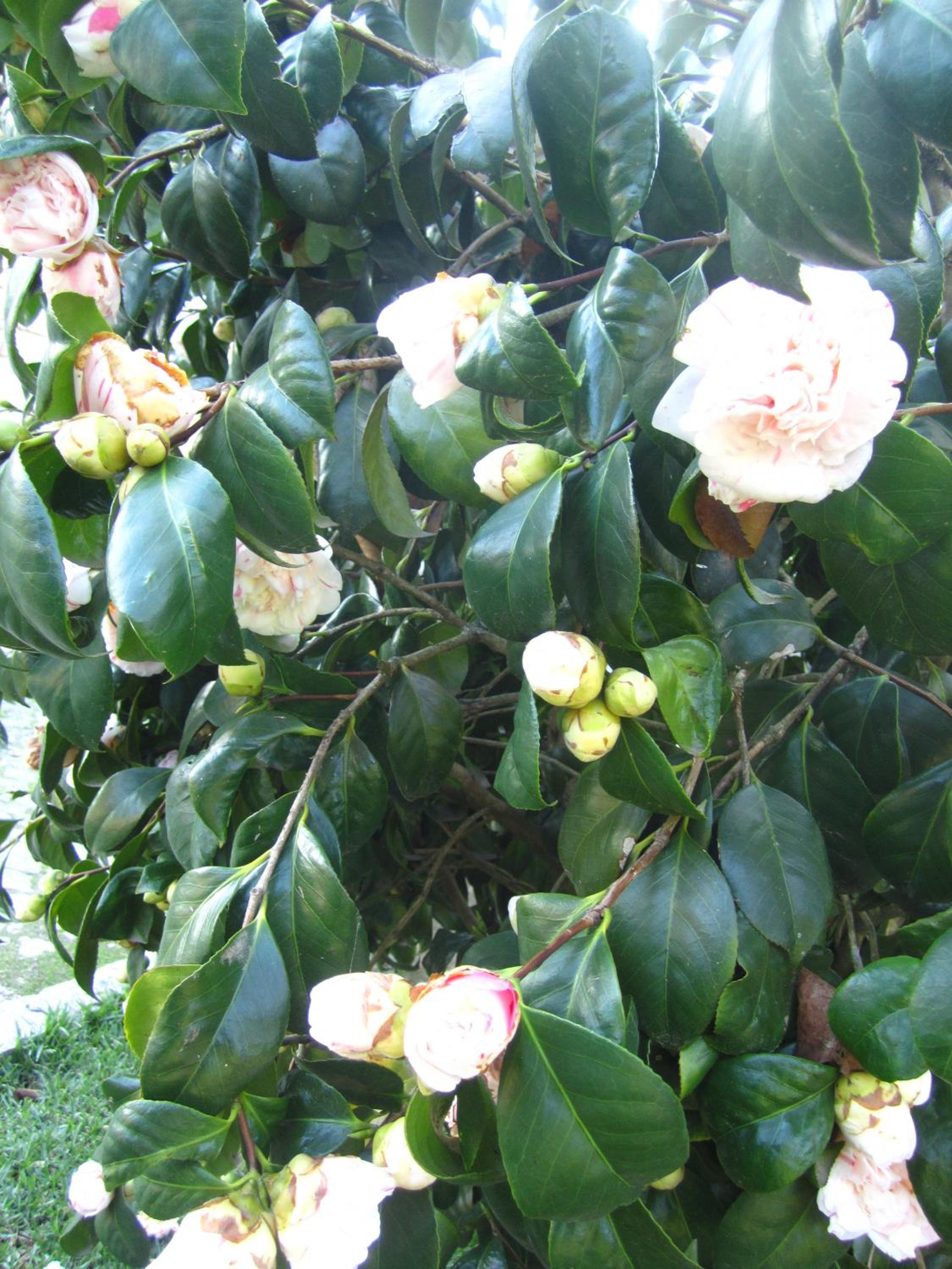 Photo 49