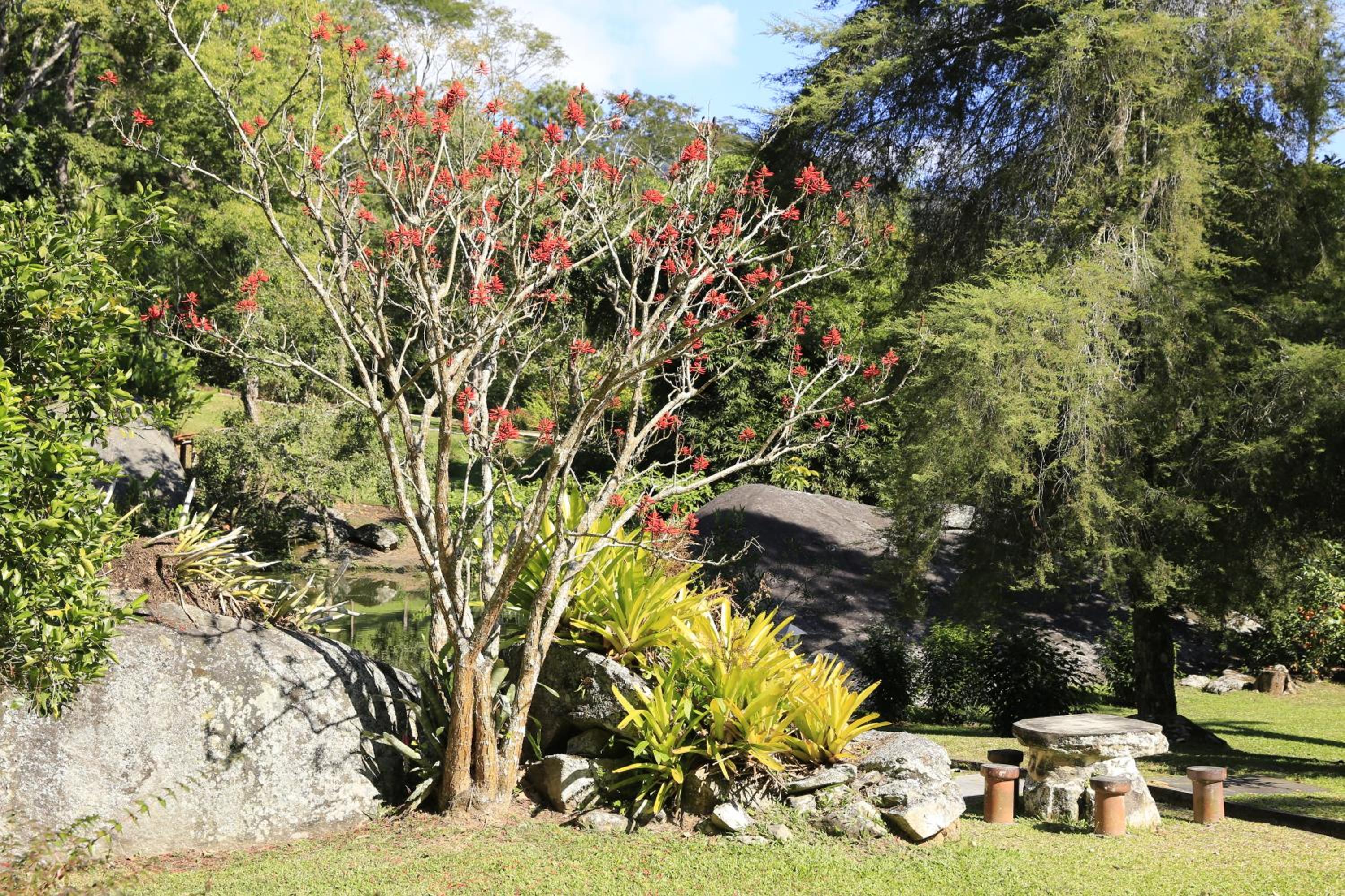 Auberge Suisse Pousada