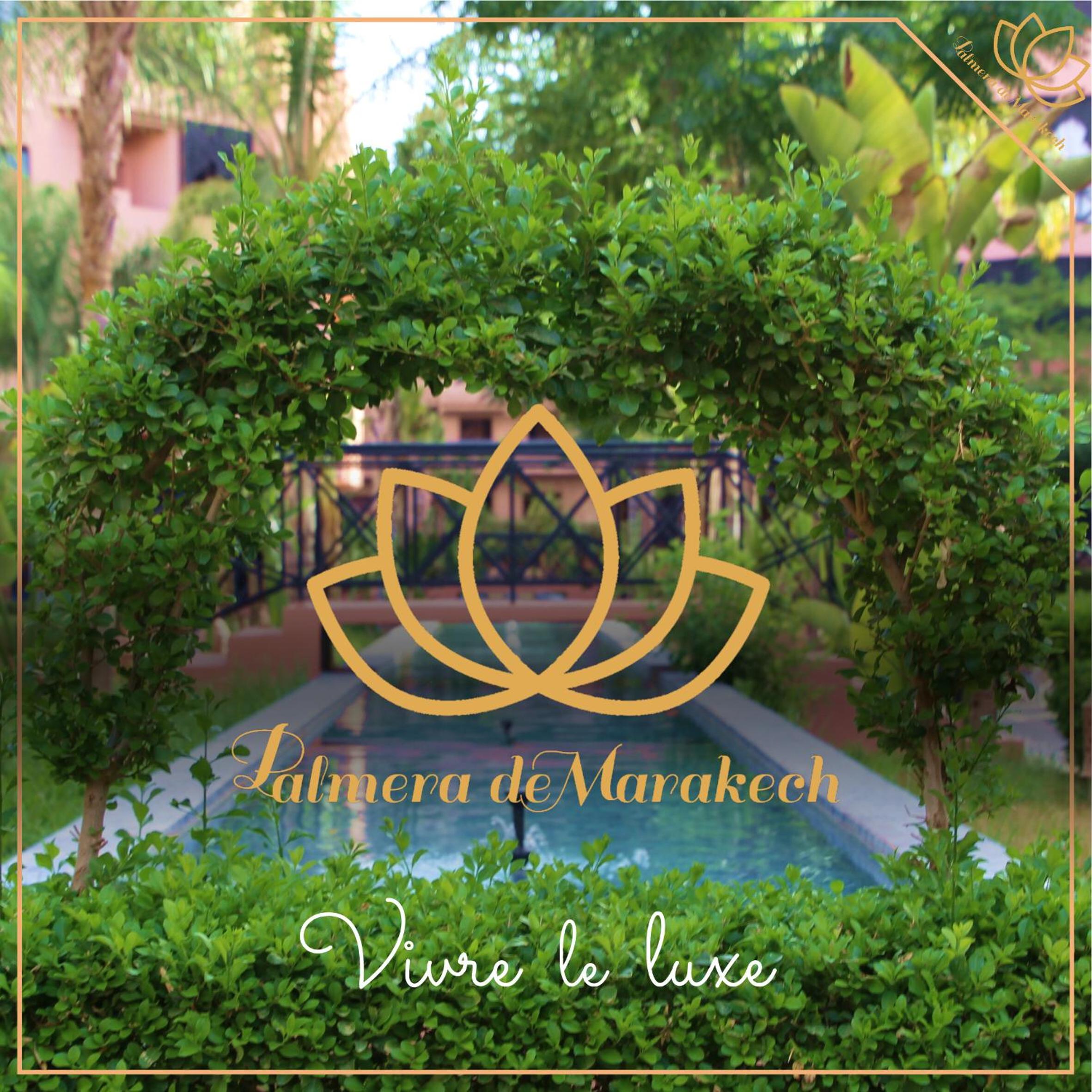 Palmera de Marrakech