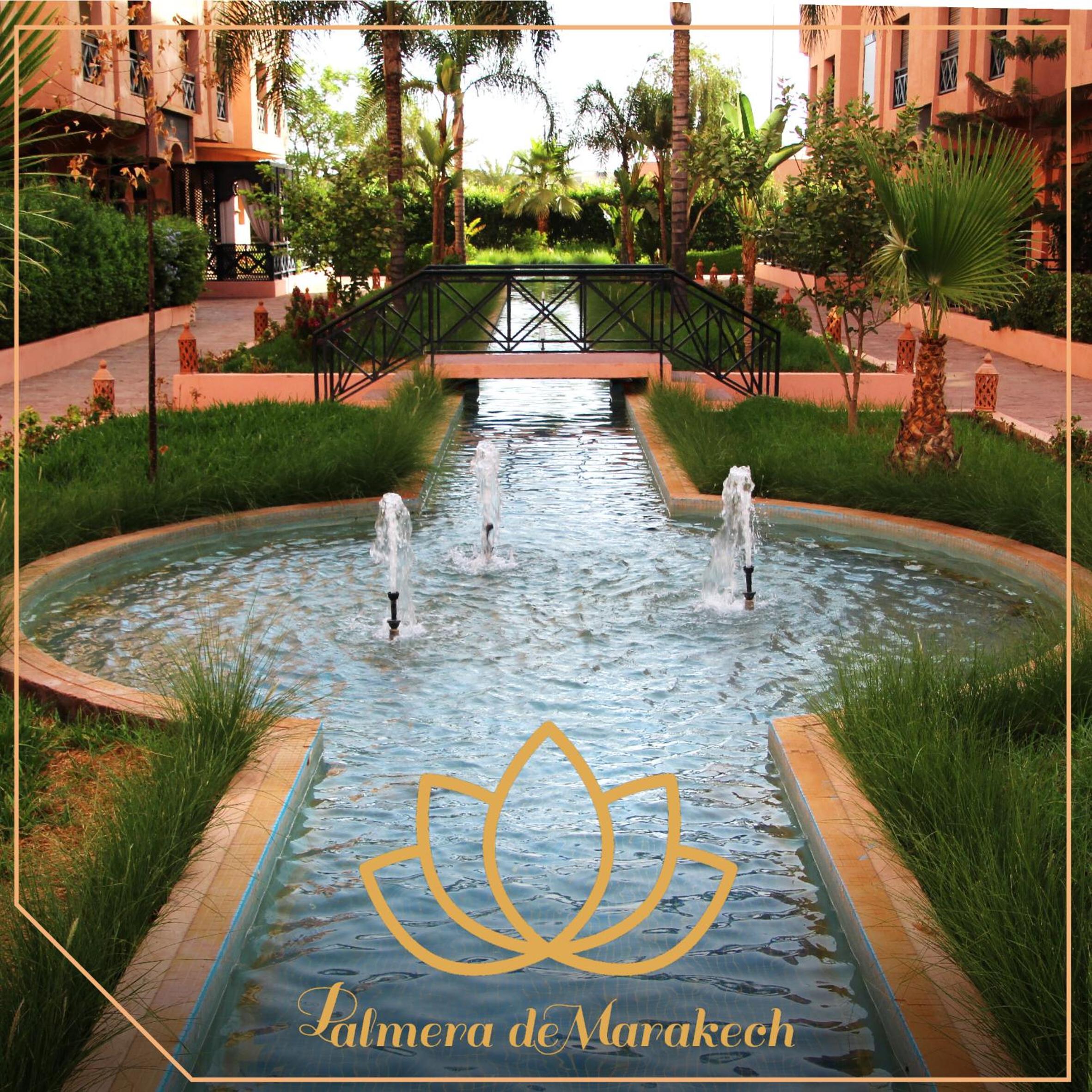 Palmera de Marrakech