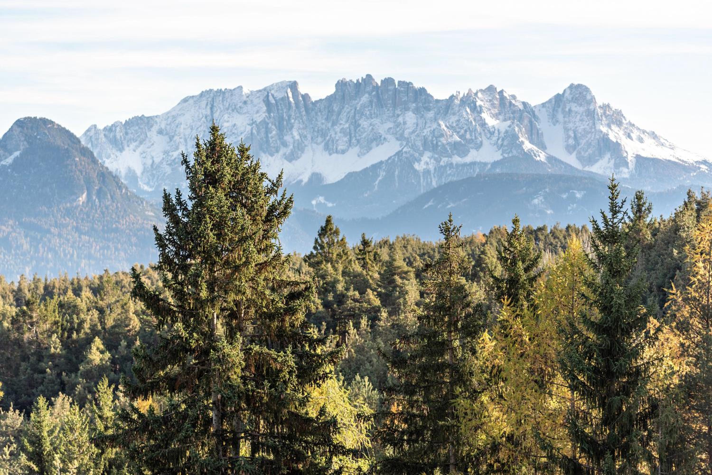 Schlern