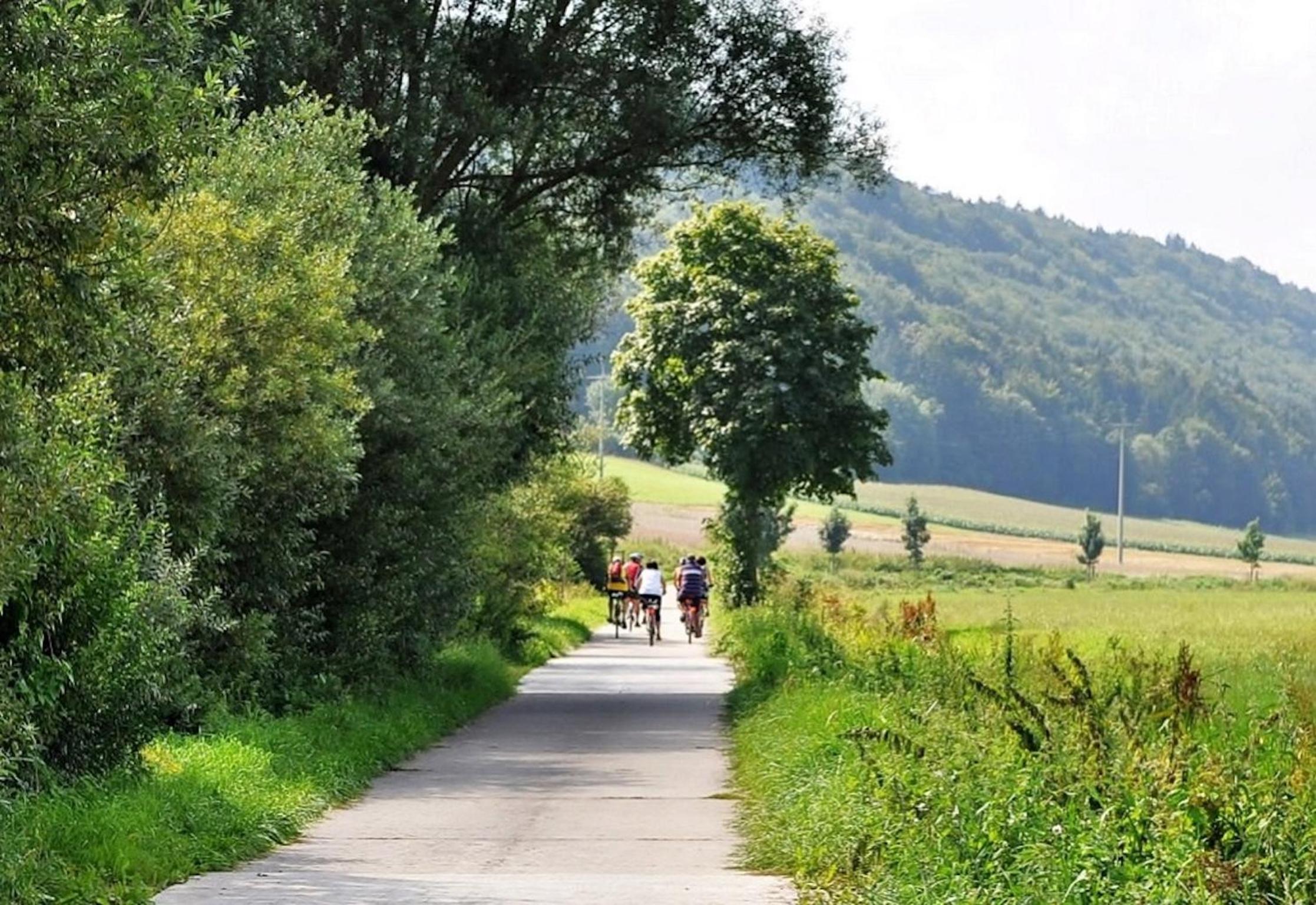 Ferienwohnung Am Bergl