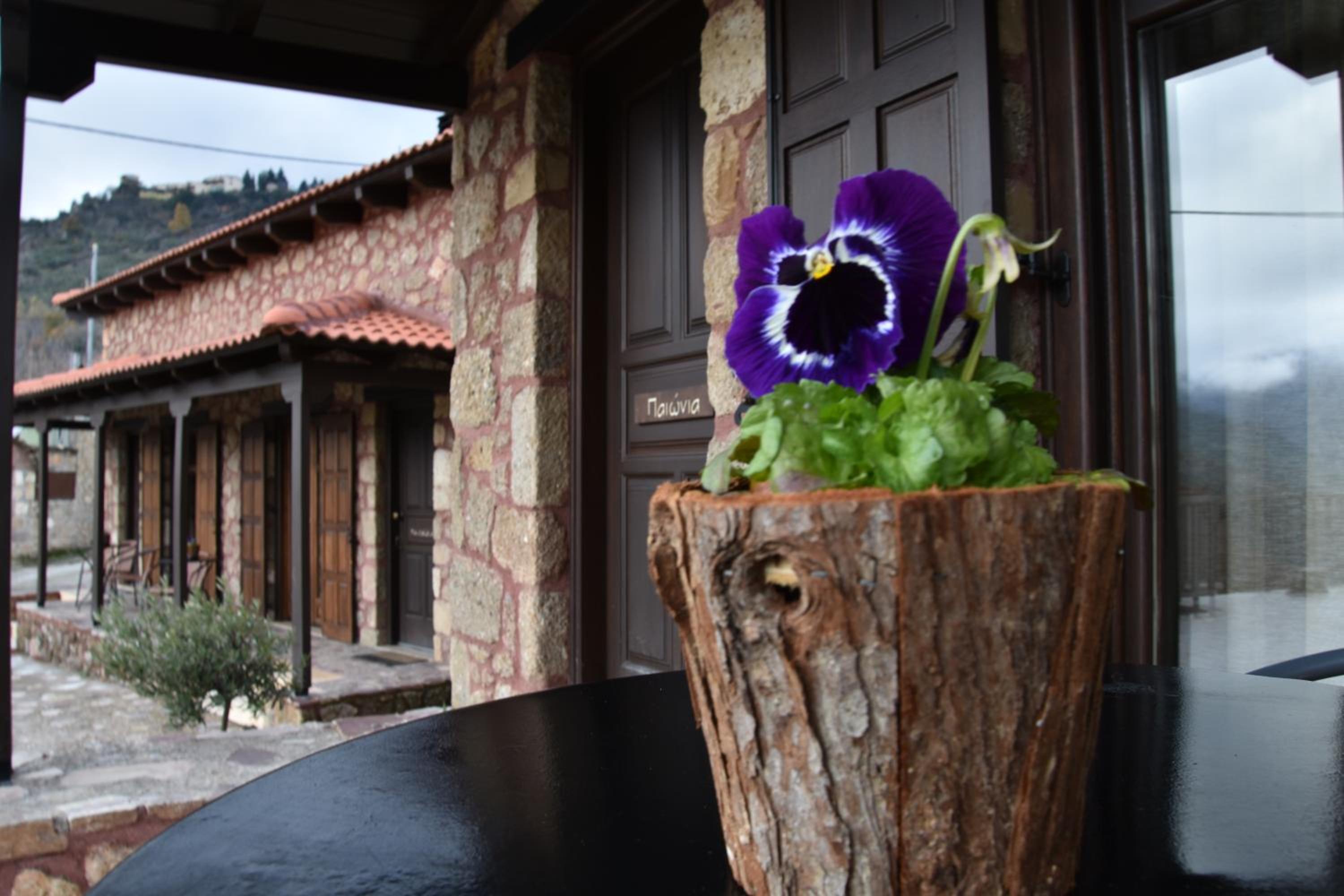Paliokastro Guesthouse view 4