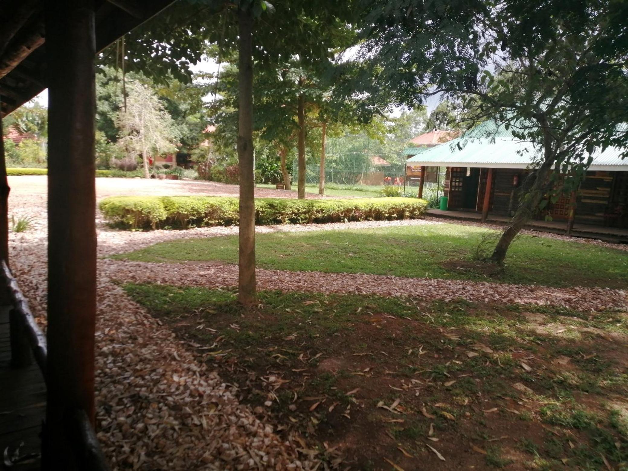 Photo 41