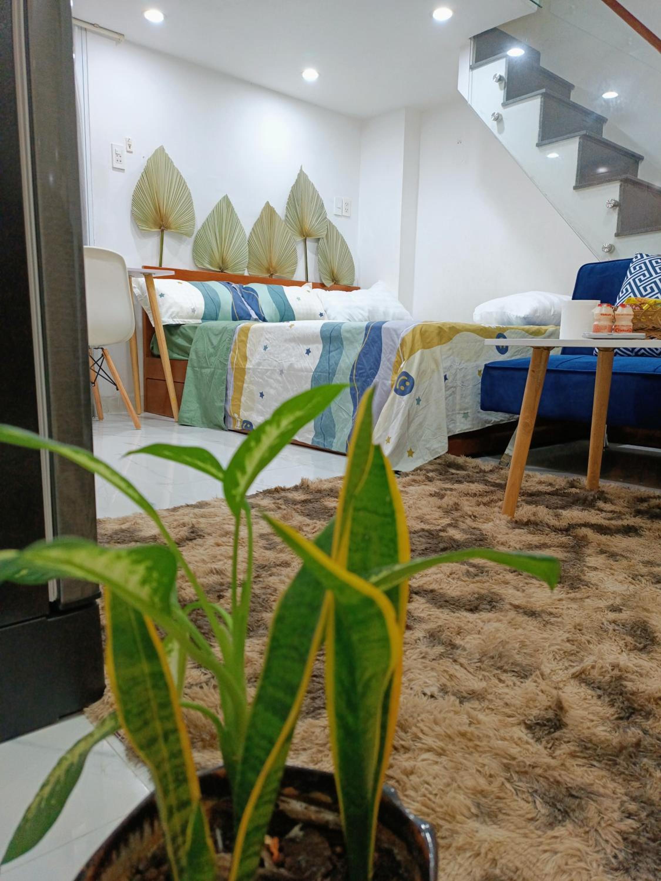 138 Lily's house in city center with Multi rooms, multi prices