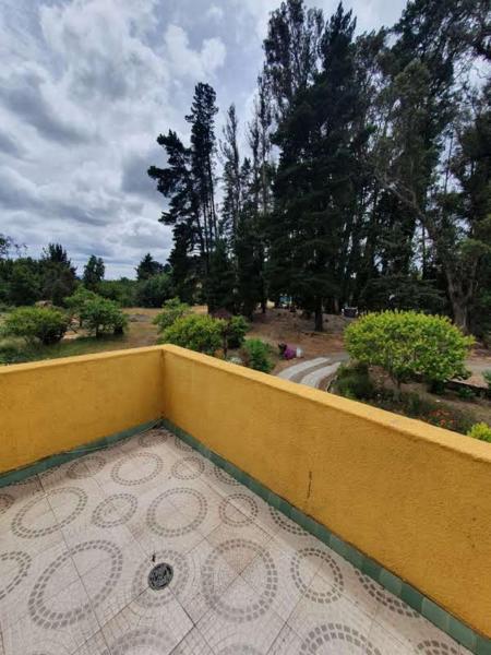Photo 43