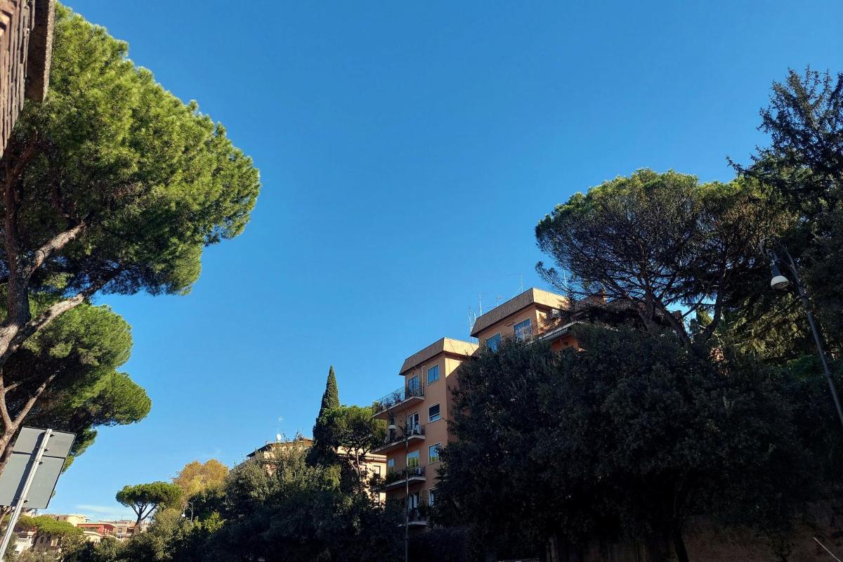 Druso Dream Apartment Colosseo