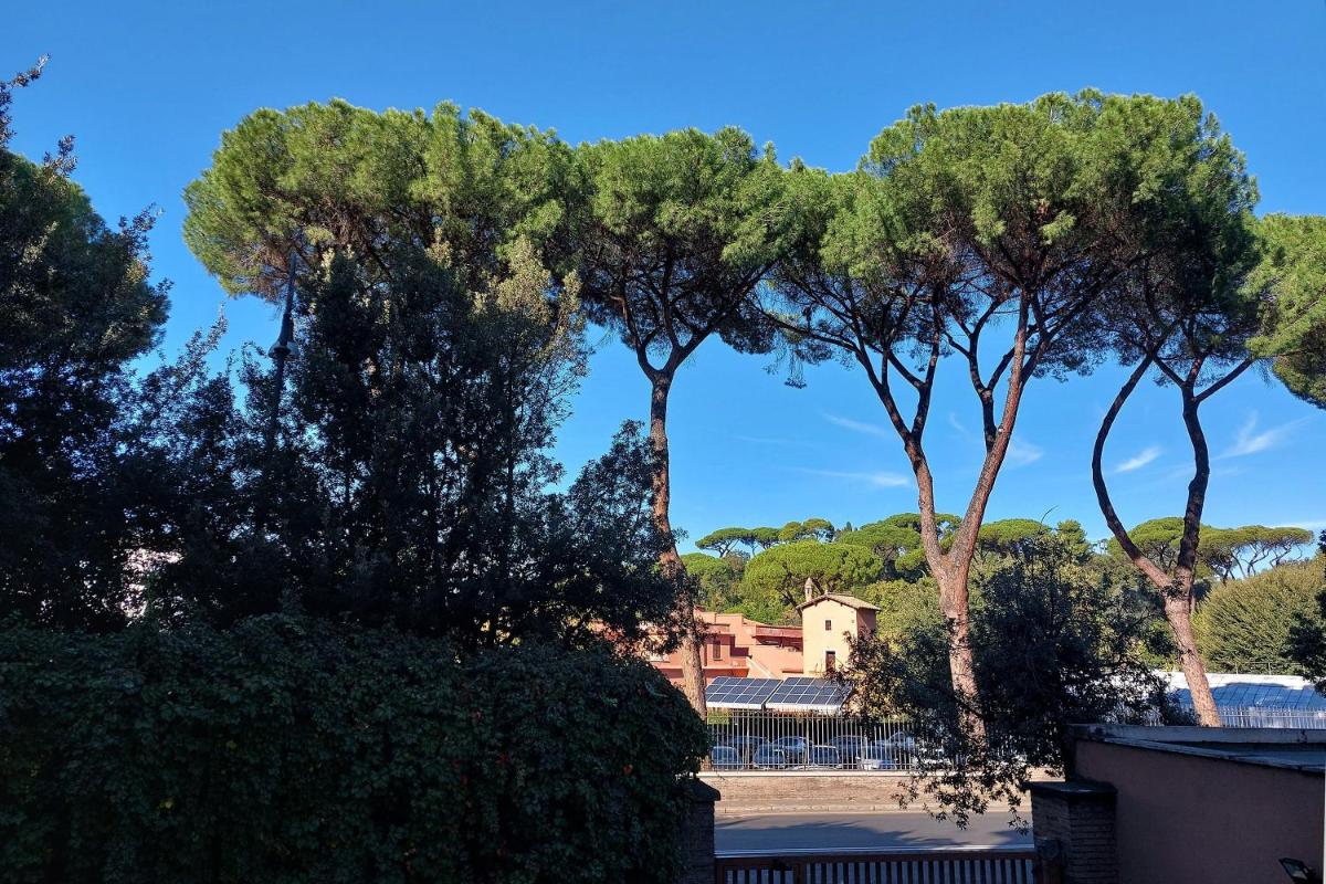 Druso Dream Apartment Colosseo