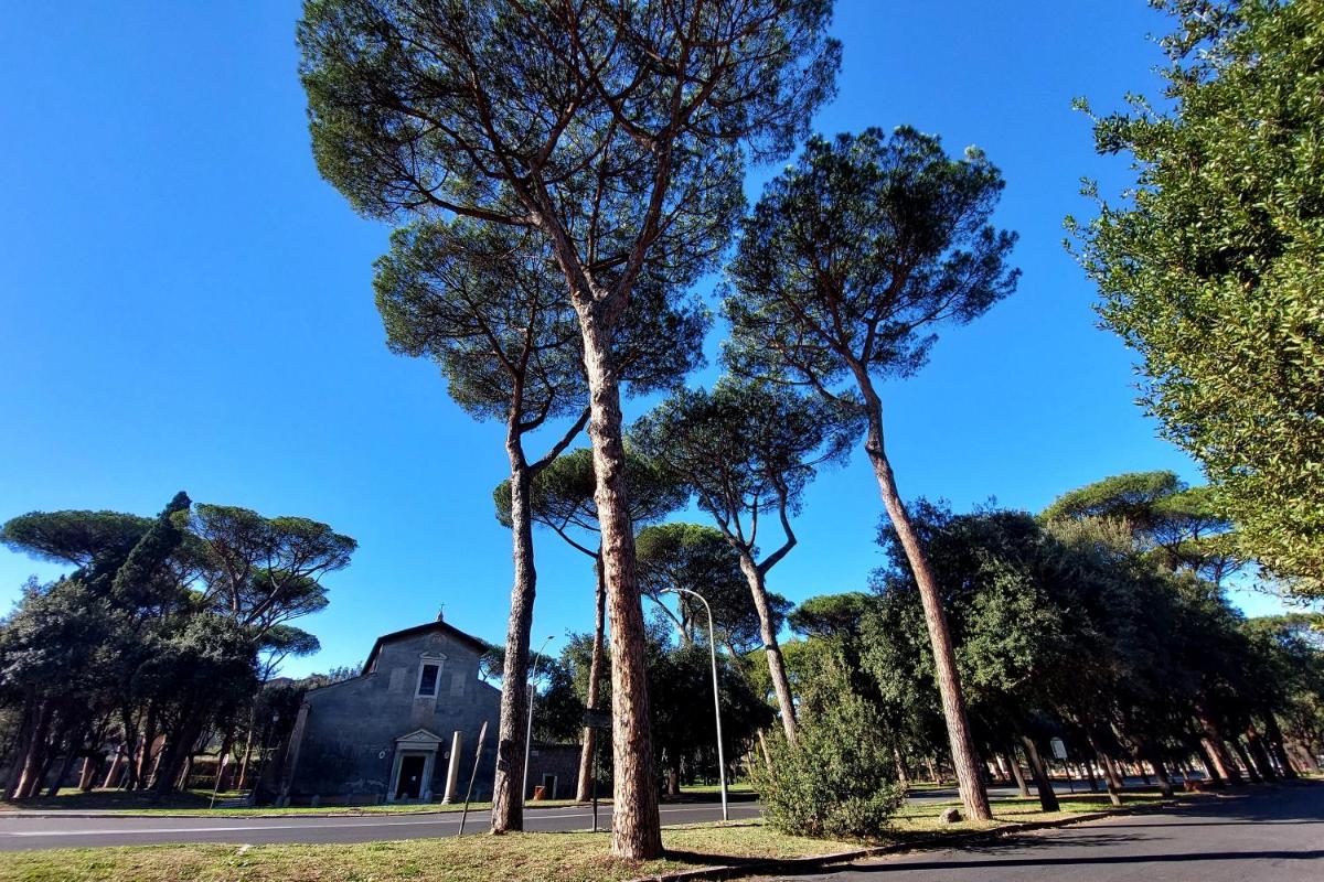 Druso Dream Apartment Colosseo