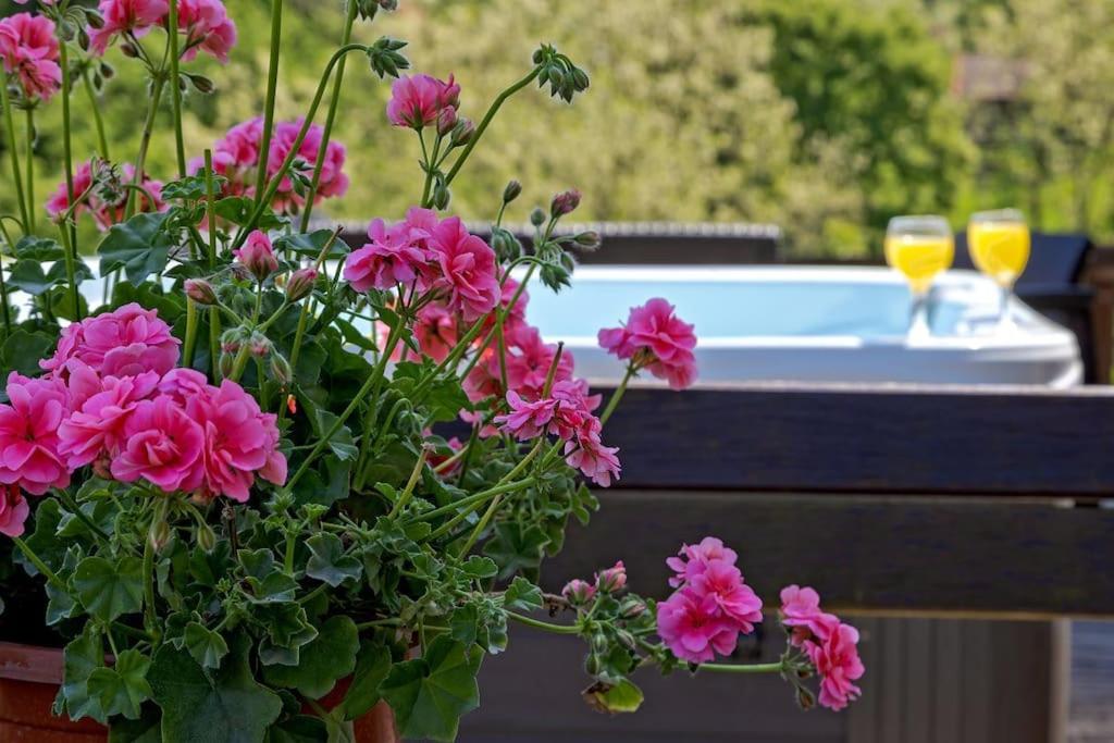 Kuća za odmor Holiday spa House Kostanjevec- Oaza mira ,bazen i spa