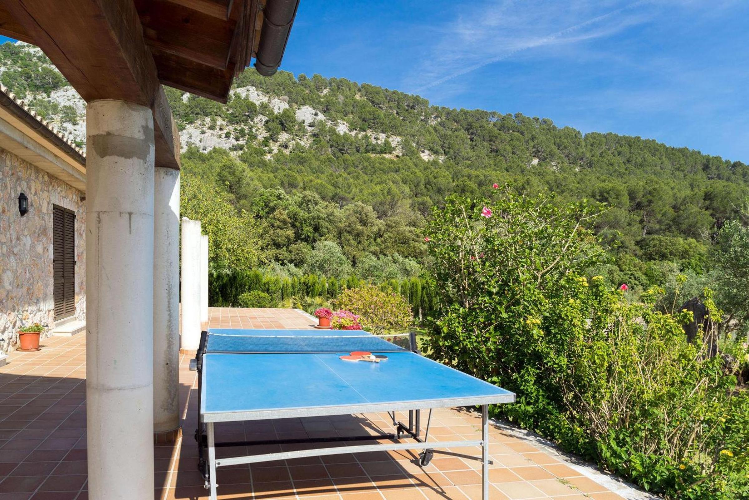 Sa Pobla - 40796 Mallorca5 photo 3