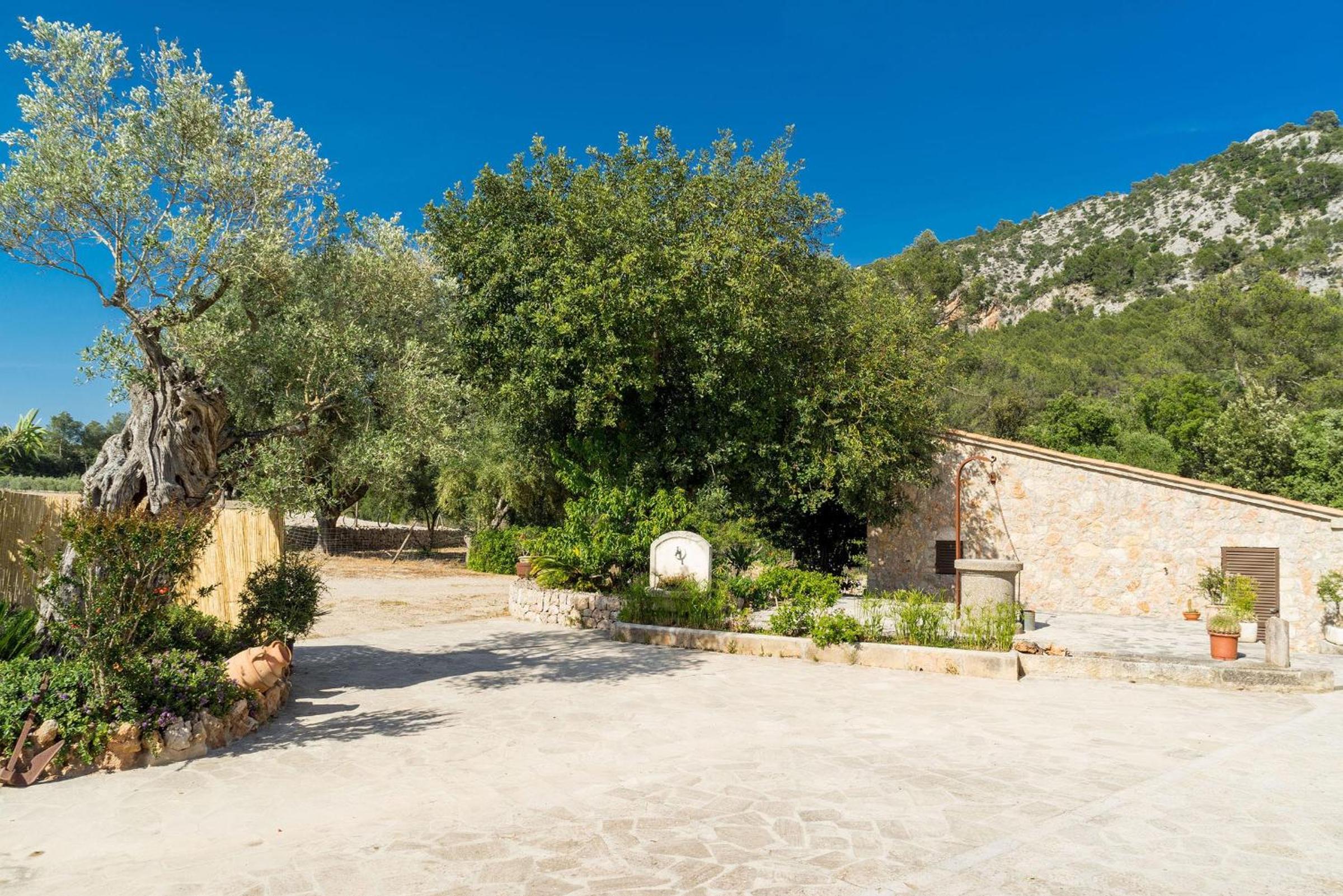 Sa Pobla - 40796 Mallorca5
