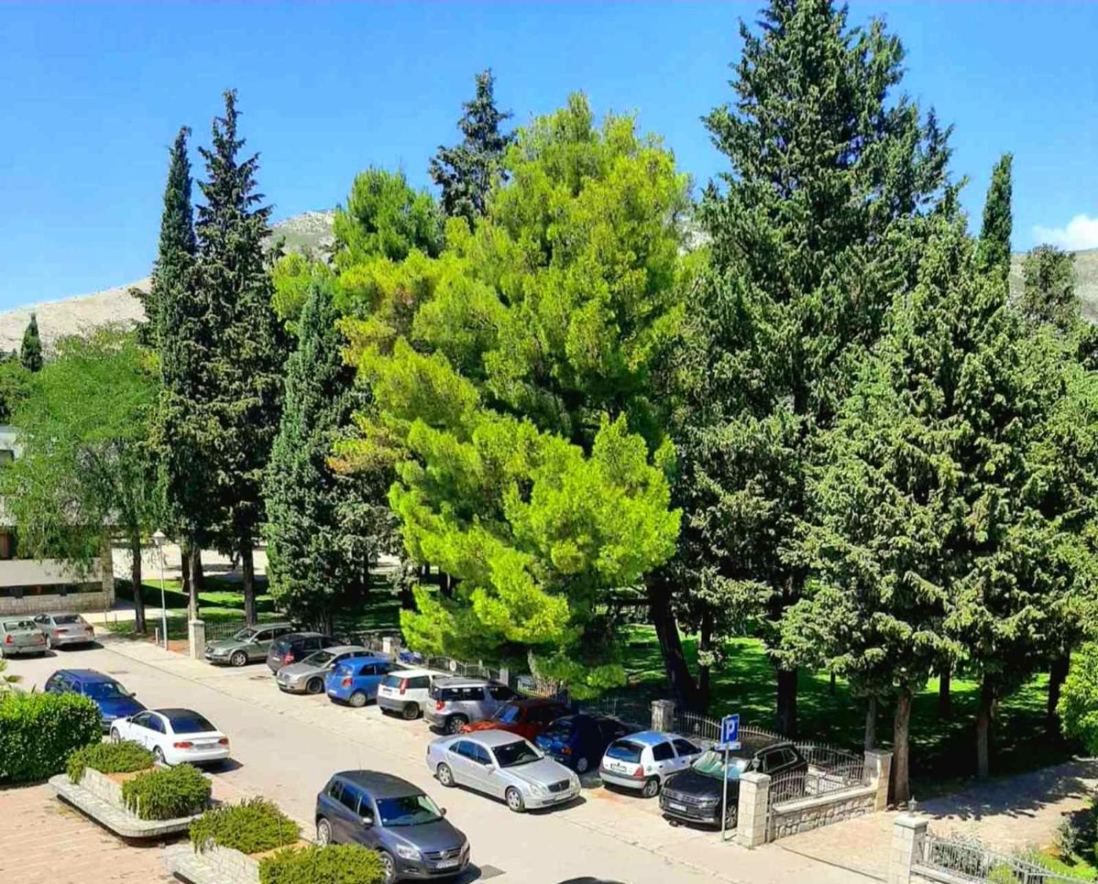 Apartman Park view 4