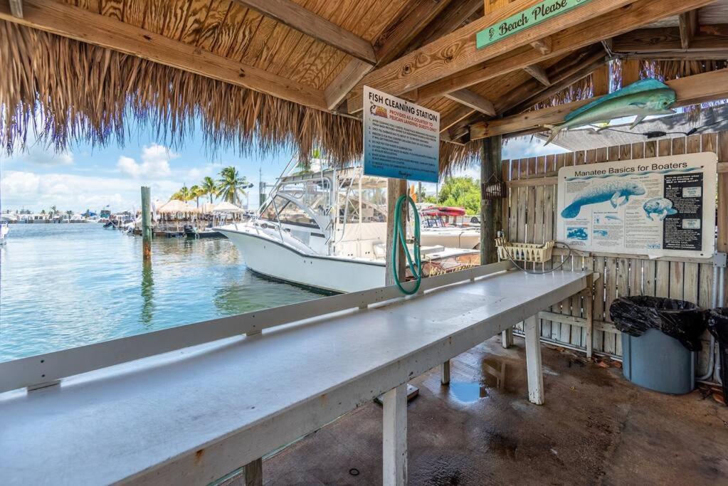 St Croix - Downtown 4x4 Waterfront Penthouse Pool Dock Pet view 5