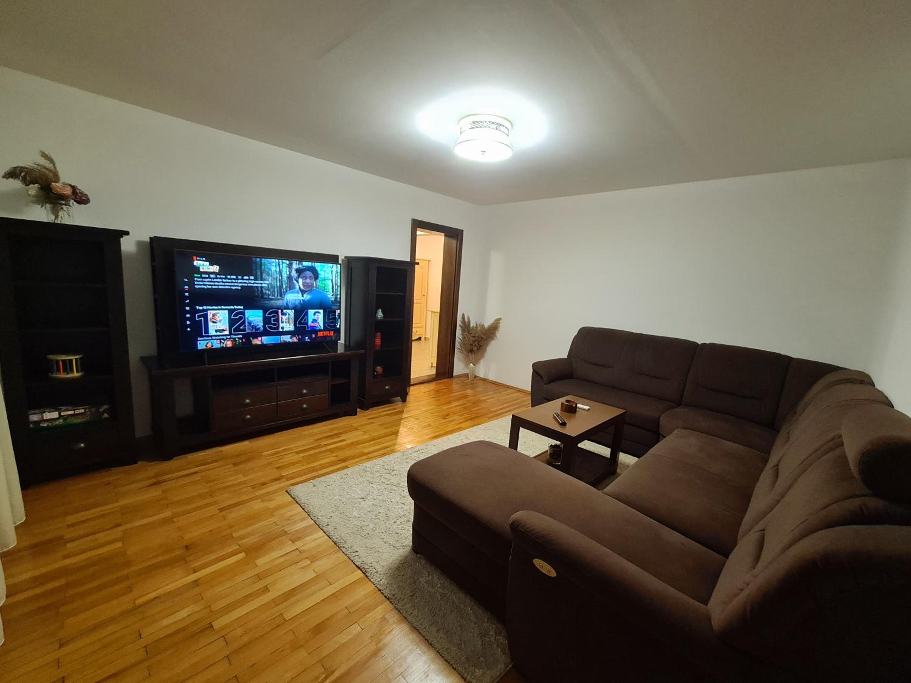 Clasic Apartment Nufarul view 3