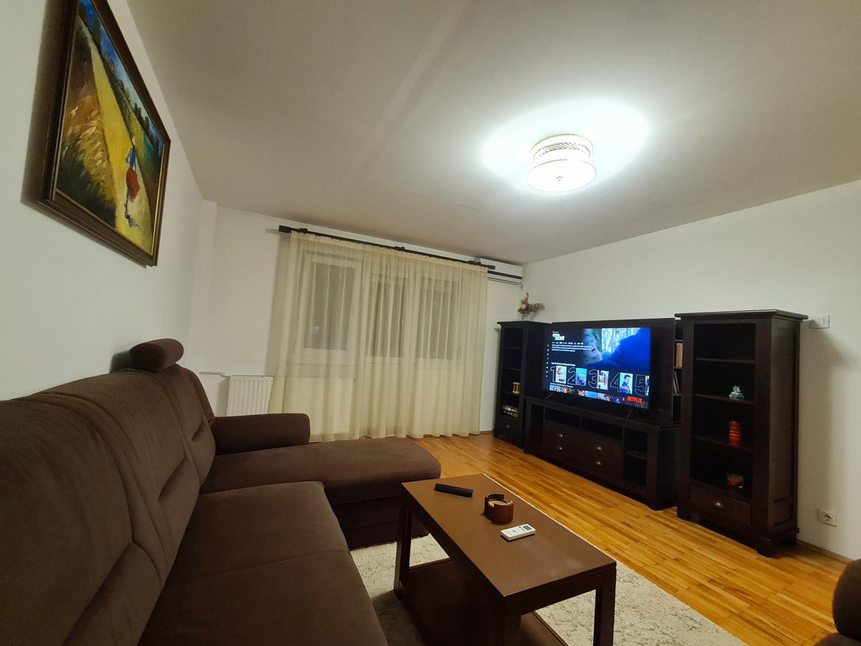 Clasic Apartment Nufarul view 5