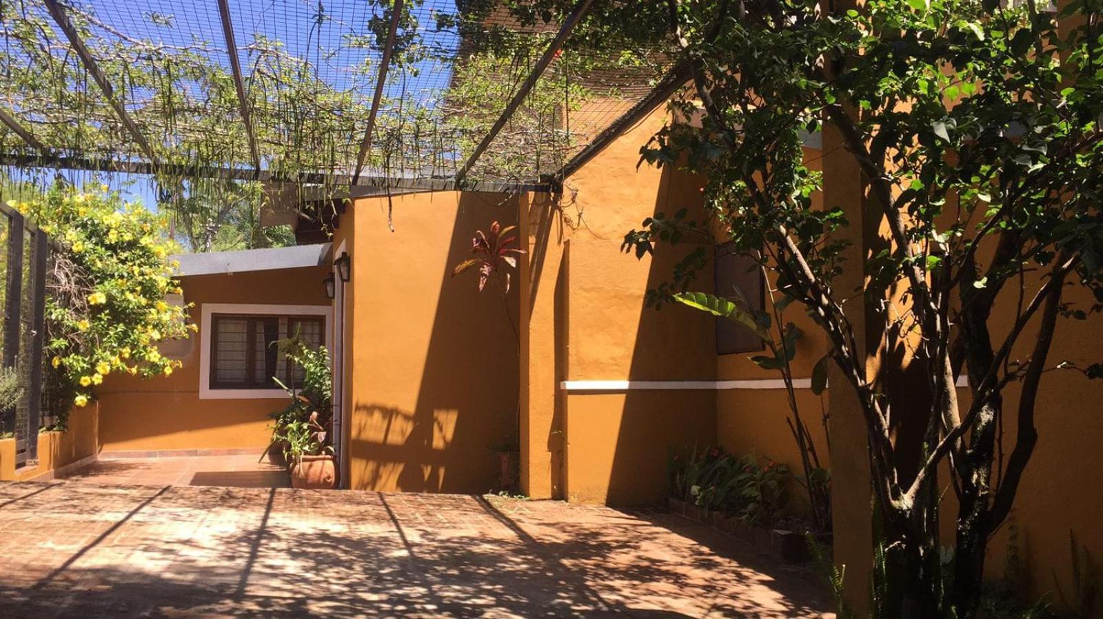 El Teyu de Garupa