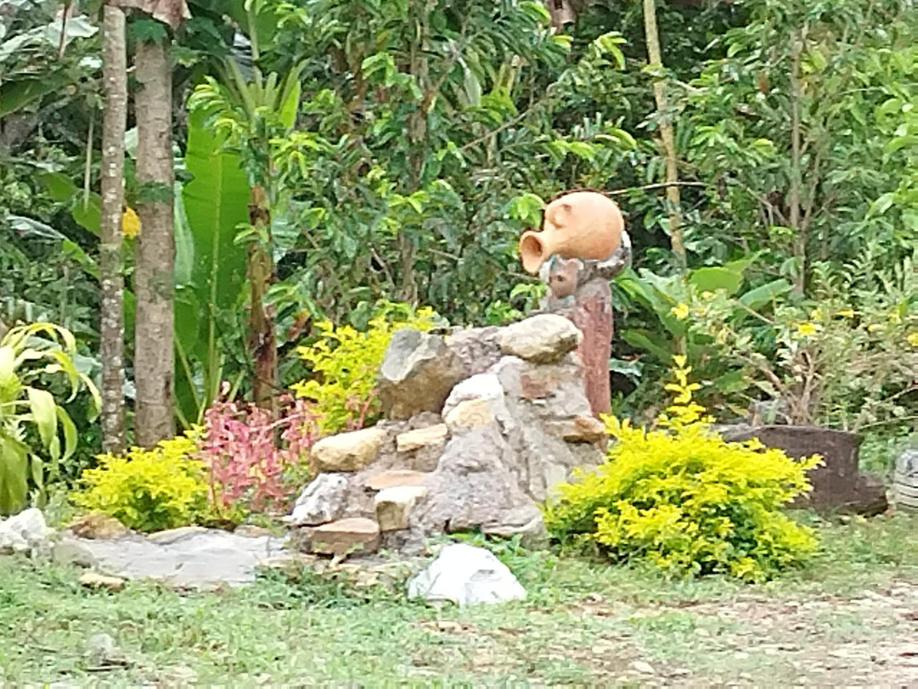 Cabaña Campestre