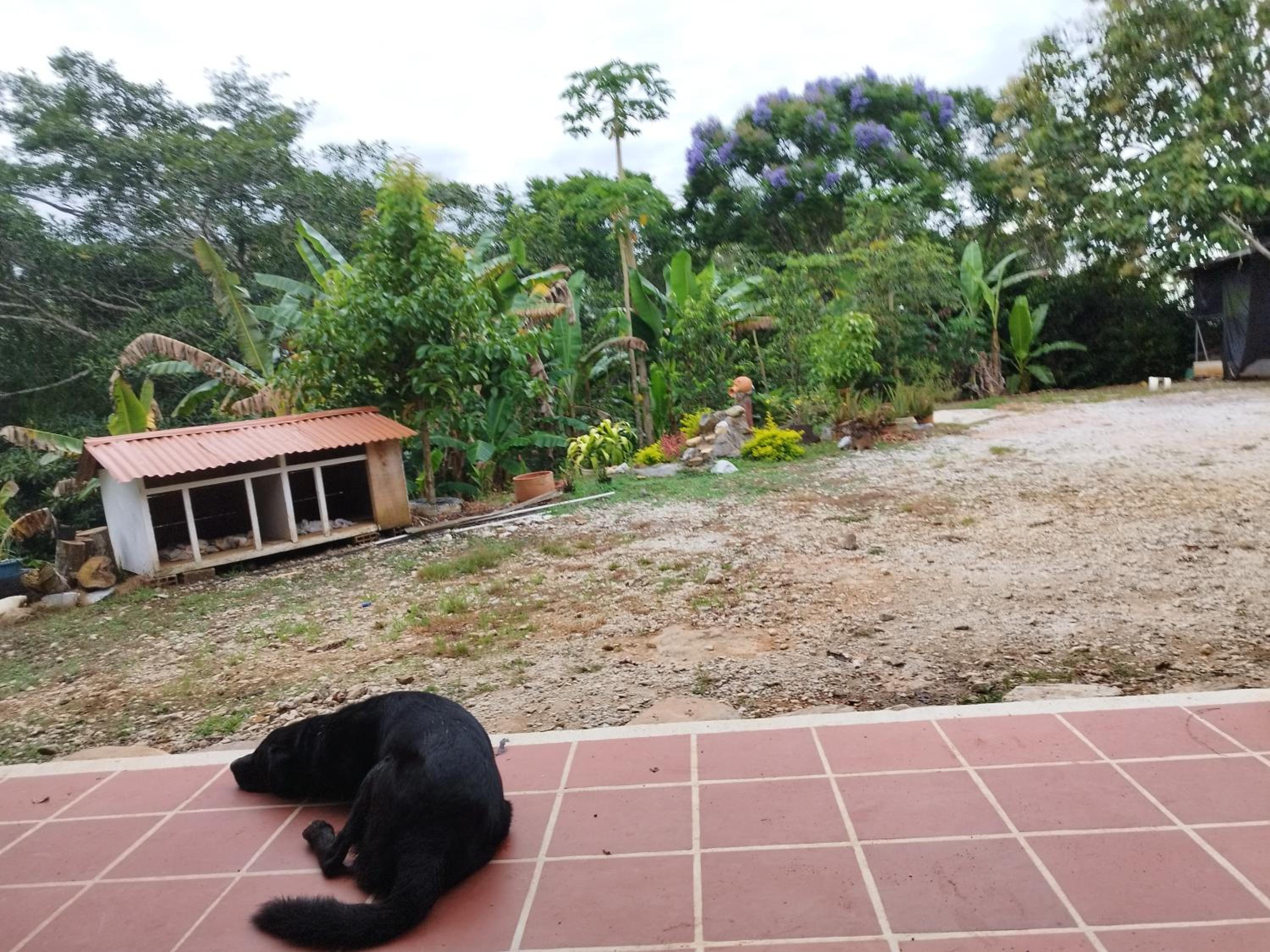 Cabaña Campestre