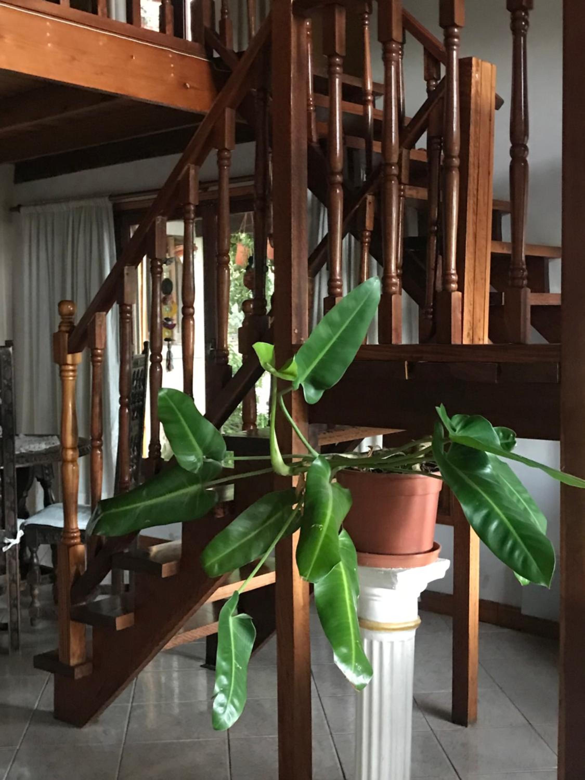EL PARAISO DEL DESCANSO