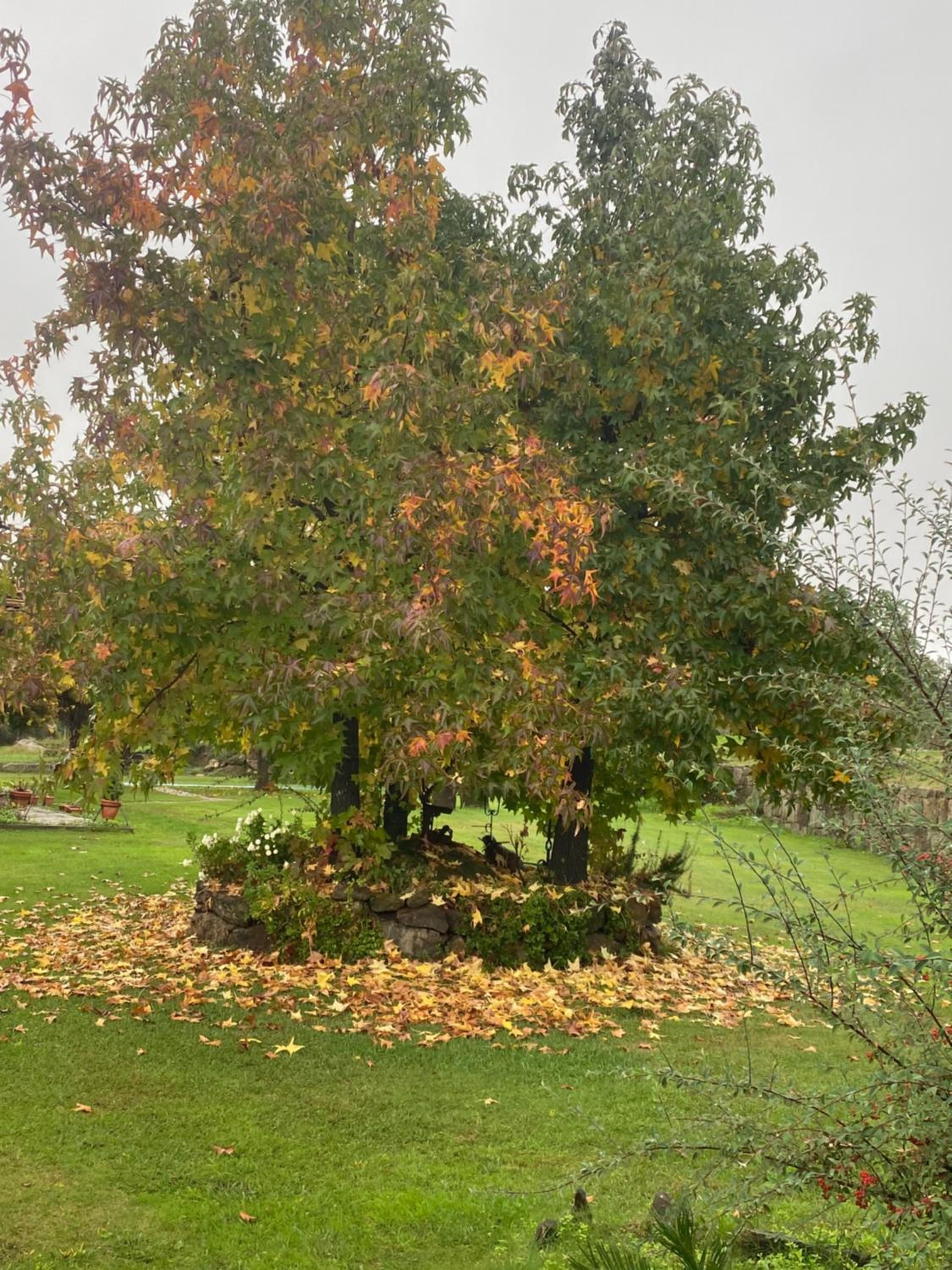 Photo 49
