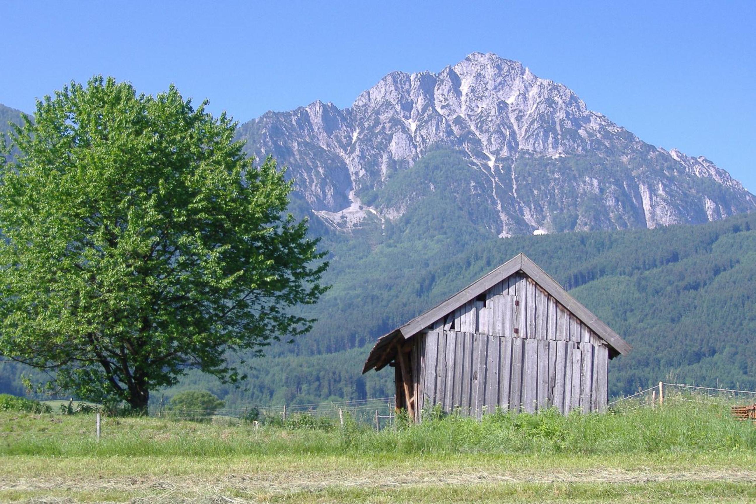 Photo 23