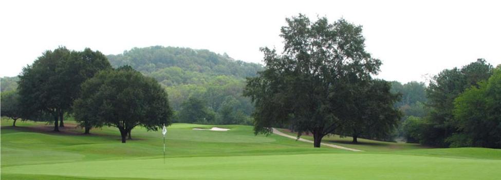Microtel Inn & Suites - Cartersville view 4