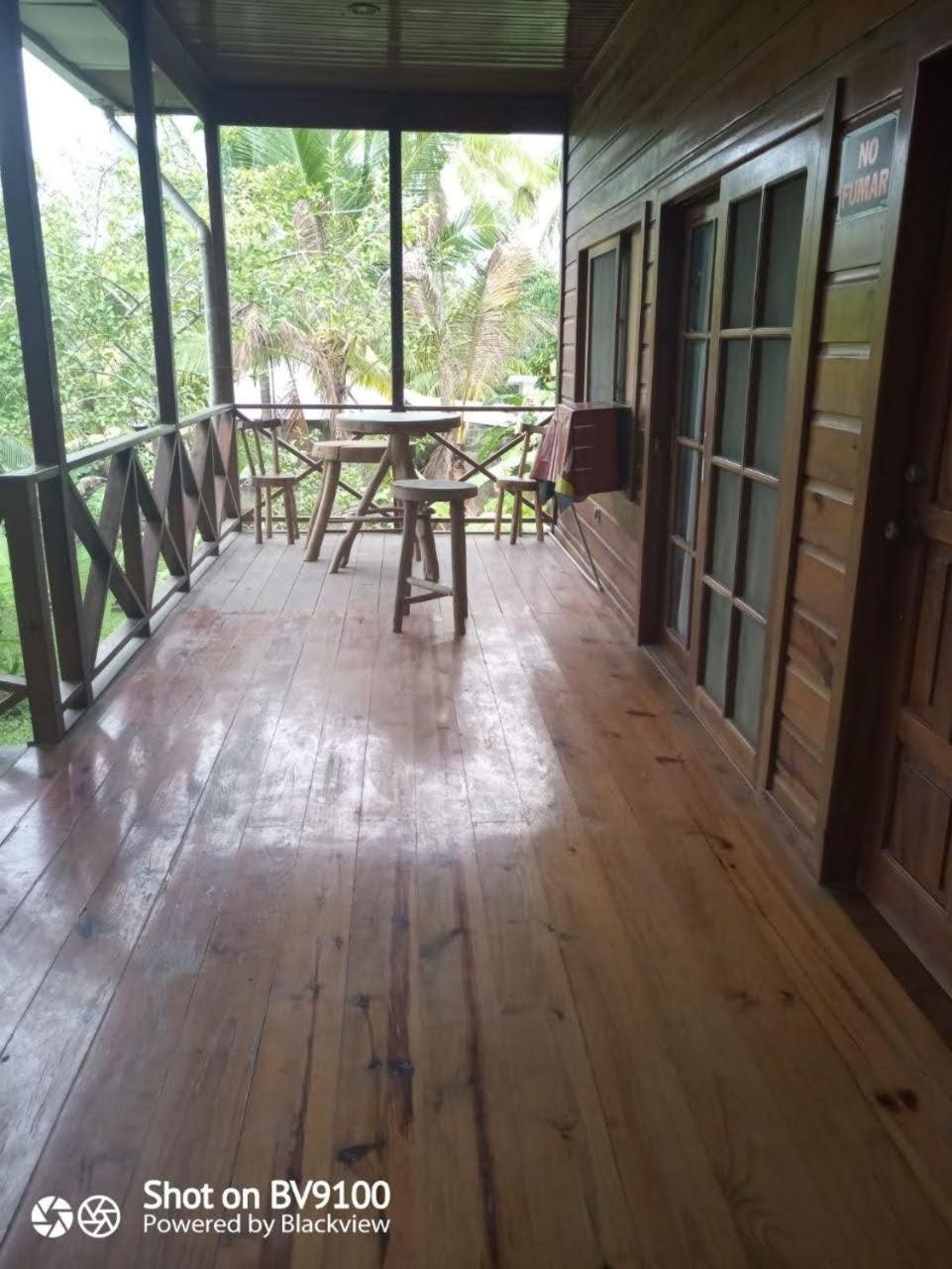Photo 19
