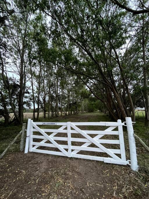 El Lucero, estancia