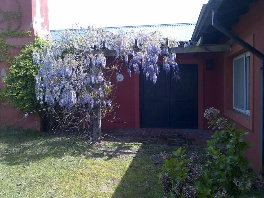 El Lucero, estancia