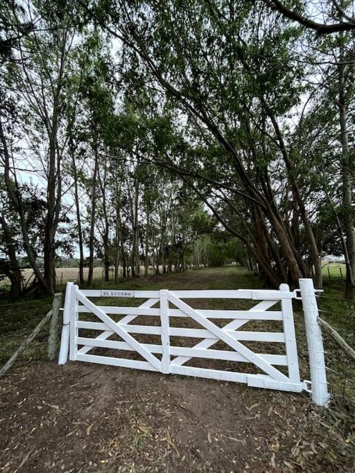 El Lucero, estancia