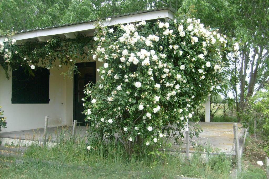 El Lucero, estancia