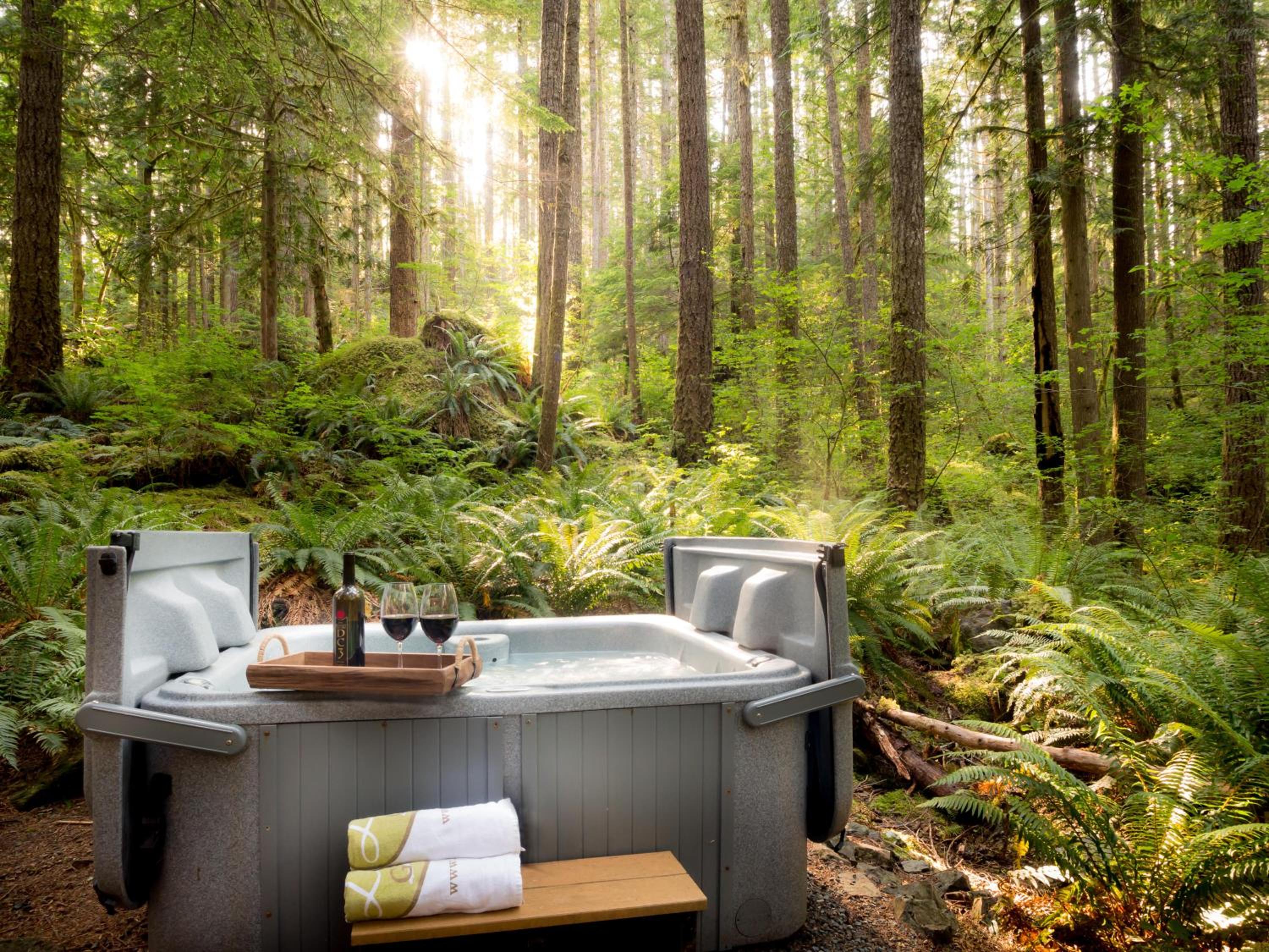 Treetop Hideaway, Sleeps 2 view 3
