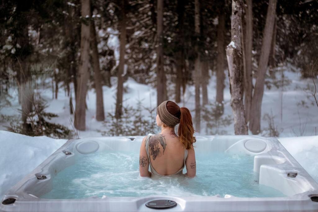 Chalet Silver Fox SPA at Fiddler's Lake