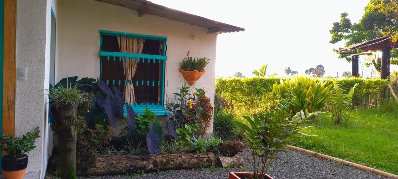 Refugio Naoak