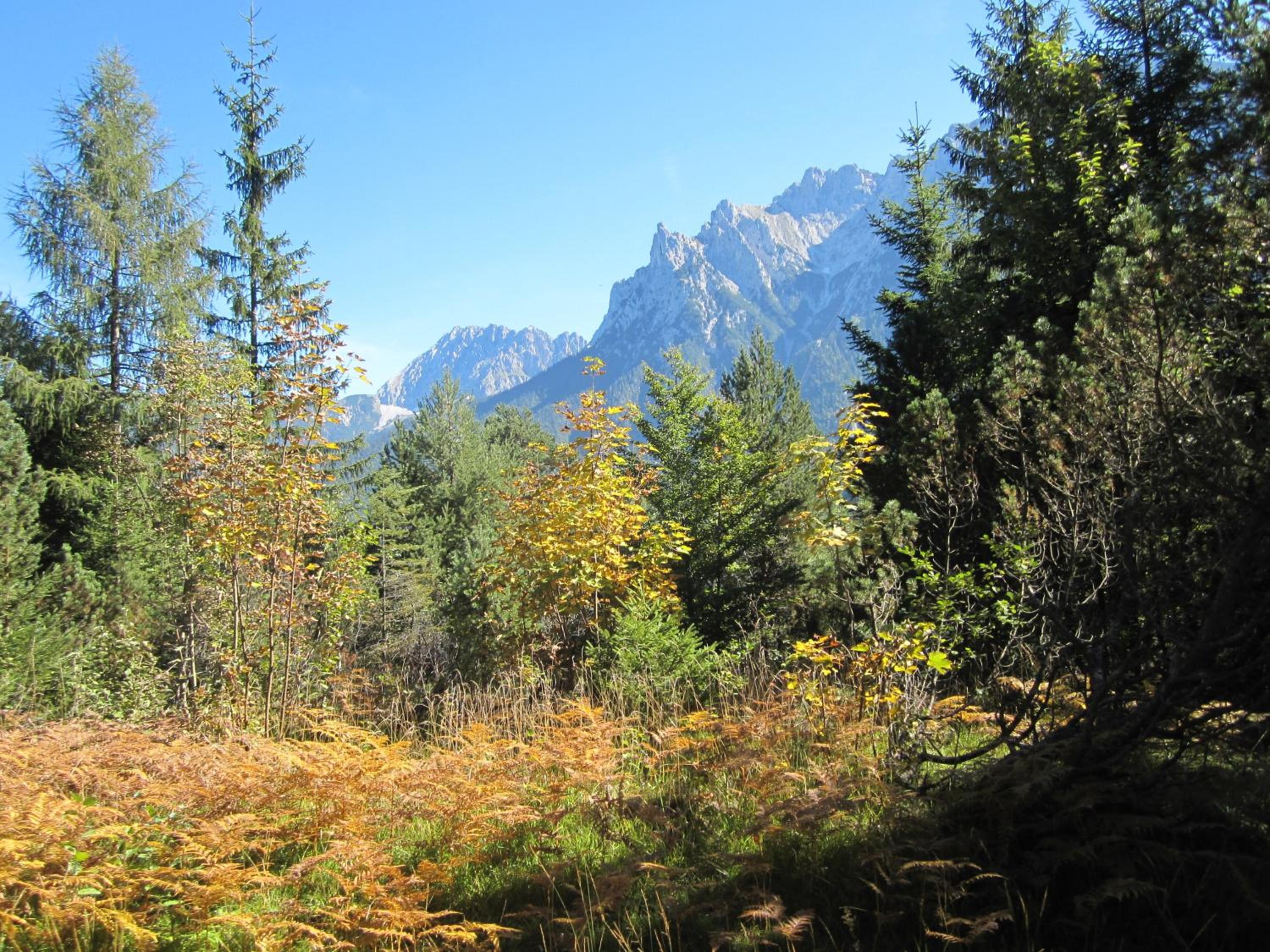Photo 20